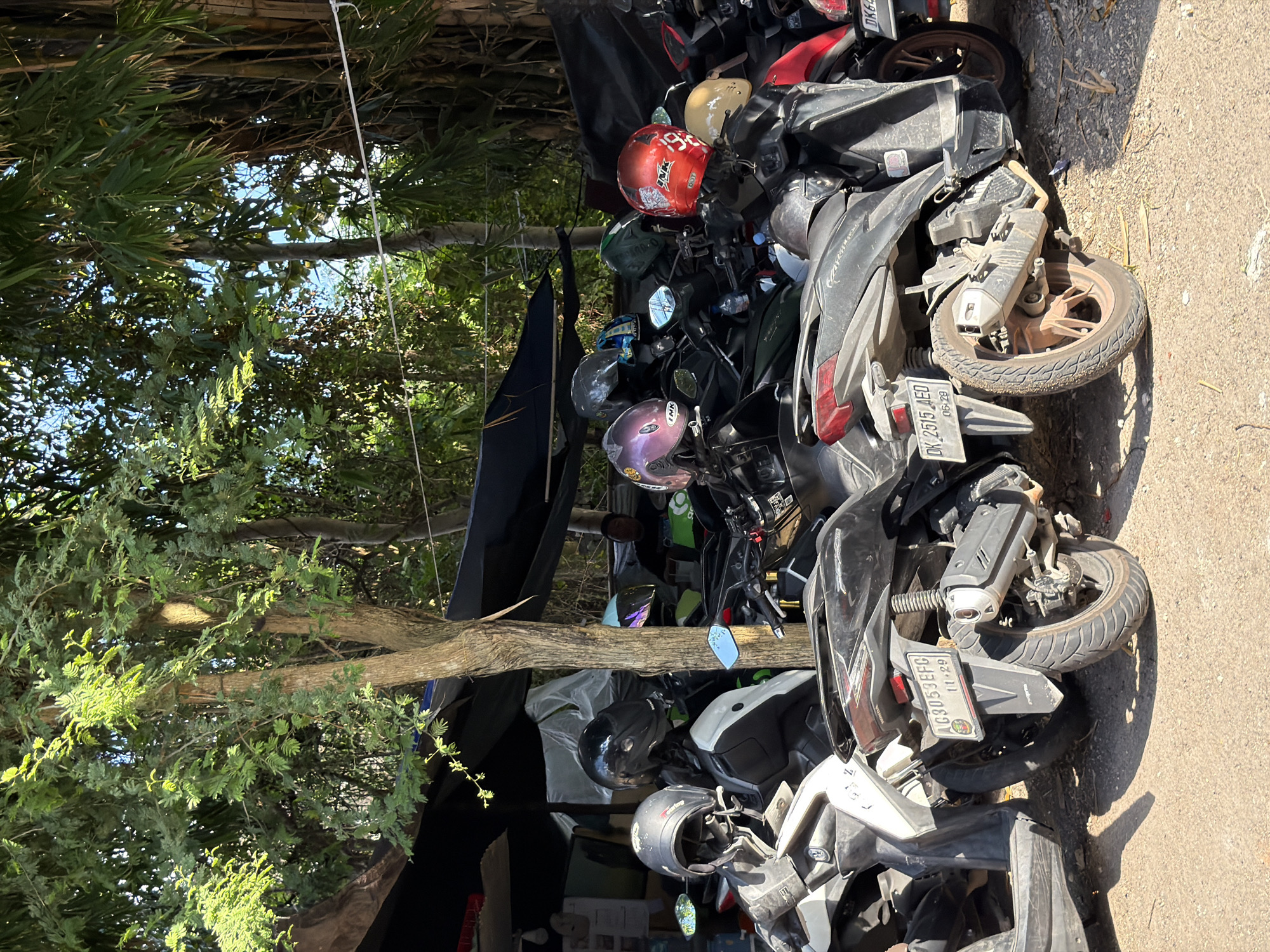 A crowded scene shows numerous scooters and motorbikes parked closely together outdoors, suggesting a parking area or a rental shop in Kuta Selatan, Indonesia. The vehicles, mostly dark-colored scooters, are aligned diagonally across the frame, with some leaning against each other. Several helmets of various colors, including red, purple, black, and cream, are visible on or near the handlebars of the motorbikes.
The background features lush green foliage, including tall trees and bamboo, indicating a tropical or subtropical environment. The foreground and right side of the image show a paved ground or asphalt road, with visible shadows suggesting bright, sunny conditions, likely during the day. Some fallen leaves or debris are scattered on the ground.
Two license plates are clearly visible: "DK 2515 AED" with the number "06-29" below it, and "DK 3053 EFC" with "11-29" below it. The "DK" prefix on the plates confirms the location in Bali, Indonesia, aligning with the provided context of Kuta Selatan. The brand "INK" is visible on several helmets, and "Honda" is partially seen on a scooter's rear fender. The scooters appear to be in active use, some showing signs of dust. No people are visible in the immediate vicinity of the parked vehicles.