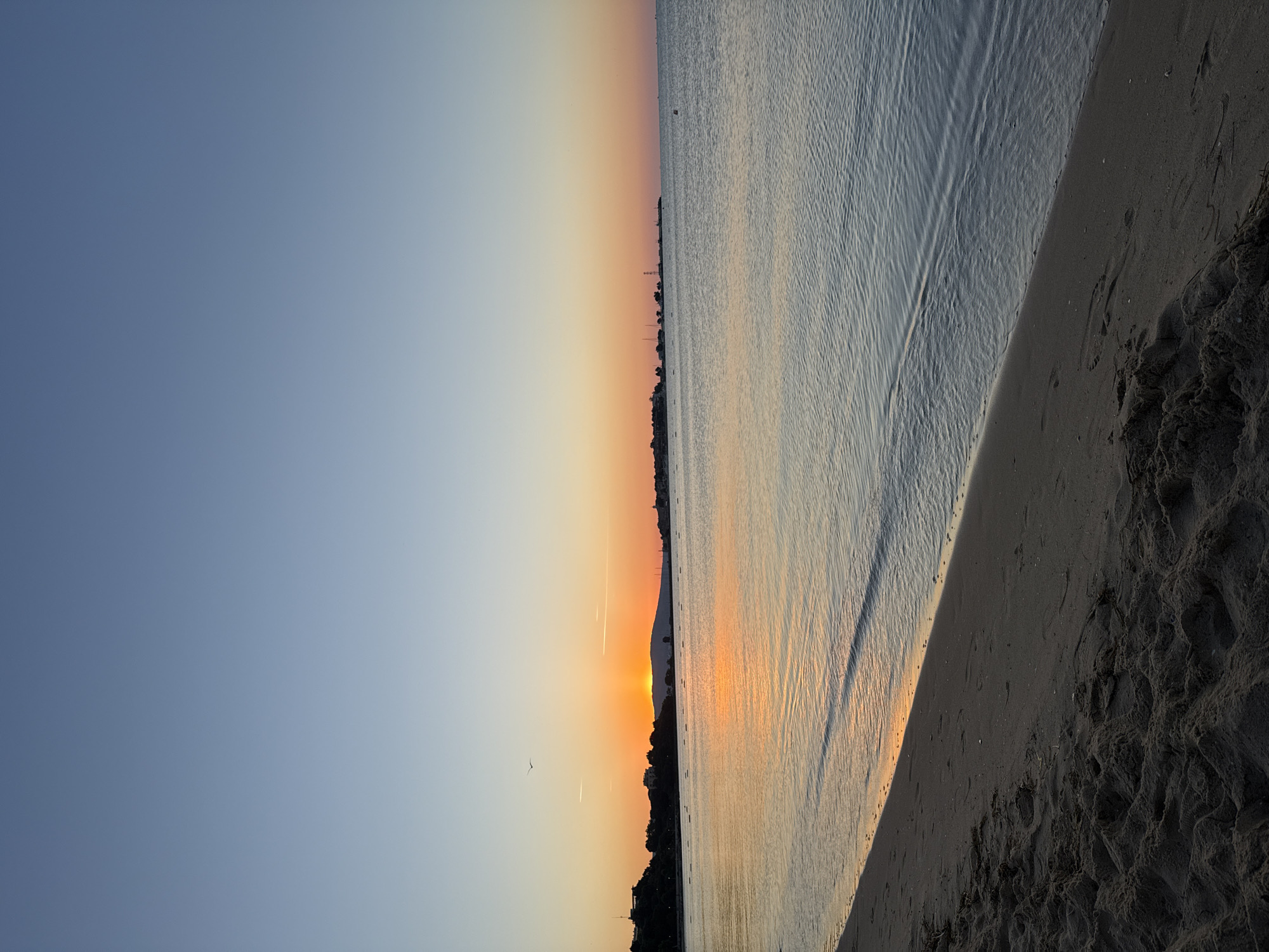 The image depicts a tranquil seascape at dawn in Nesebar, Bulgaria. The foreground is dominated by a dark, sandy beach with visible footprints, leading to the gentle lapping waves of the Black Sea. The water is calm, reflecting the warm hues of the rising sun. In the middle ground, a low-lying coastline is visible, dotted with buildings and vegetation, suggesting the proximity of the old town. The horizon is marked by a strip of warm orange and yellow from the sunrise, gradually transitioning into a clear, pale blue sky. A lone bird is captured in flight against the vibrant sky. The overall scene is serene and picturesque, characteristic of a sunrise over the Bulgarian coast.