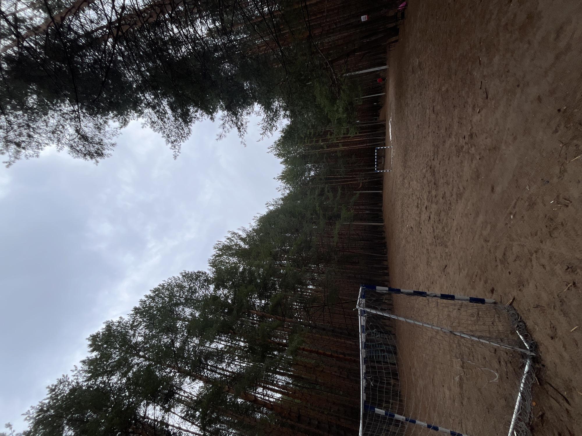 The image depicts a sand field with two soccer goals located in Chaikovsky, Russia. The field is flanked on both sides by a dense pine forest, with the trees reaching towards an overcast sky. One of the goals is close to the viewer, showing a worn net with blue and white patterned framing. The second goal is further away, appearing smaller in perspective. The ground is mostly covered in sand, with occasional debris. The scene appears to be outdoors and unoccupied.