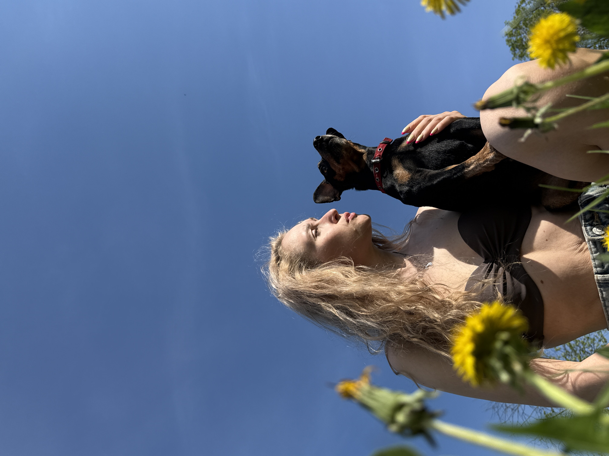 A low-angle shot depicts a blonde-haired woman holding a black and brown dog in her arms against a clear blue sky. The dog has a red collar. Yellow dandelions are visible in the foreground and background. The location, Nizhnyaya Chermoda, Russia, cannot be verified from the image.