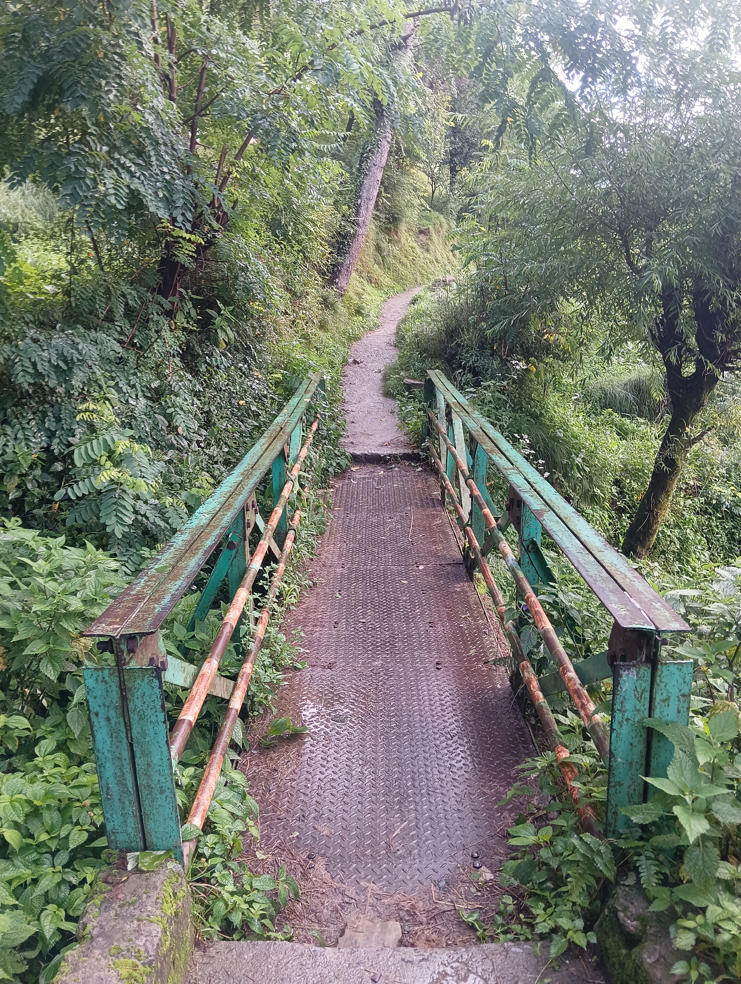A narrow, metal footbridge with green painted railings, showing signs of rust, spans a slight incline. The bridge surface is a diamond-patterned metal plate, wet from rain. The bridge leads to a dirt path winding upwards through lush, green vegetation. The surrounding area is a dense forest with tall trees and thick undergrowth, suggesting a location in the hills, possibly on the outskirts of Manali, India, given the abundance of foliage and the style of the path and bridge. There are no people or animals visible in the image. The lighting is soft, indicating an overcast or diffused daylight, and the overall atmosphere is damp and natural.
