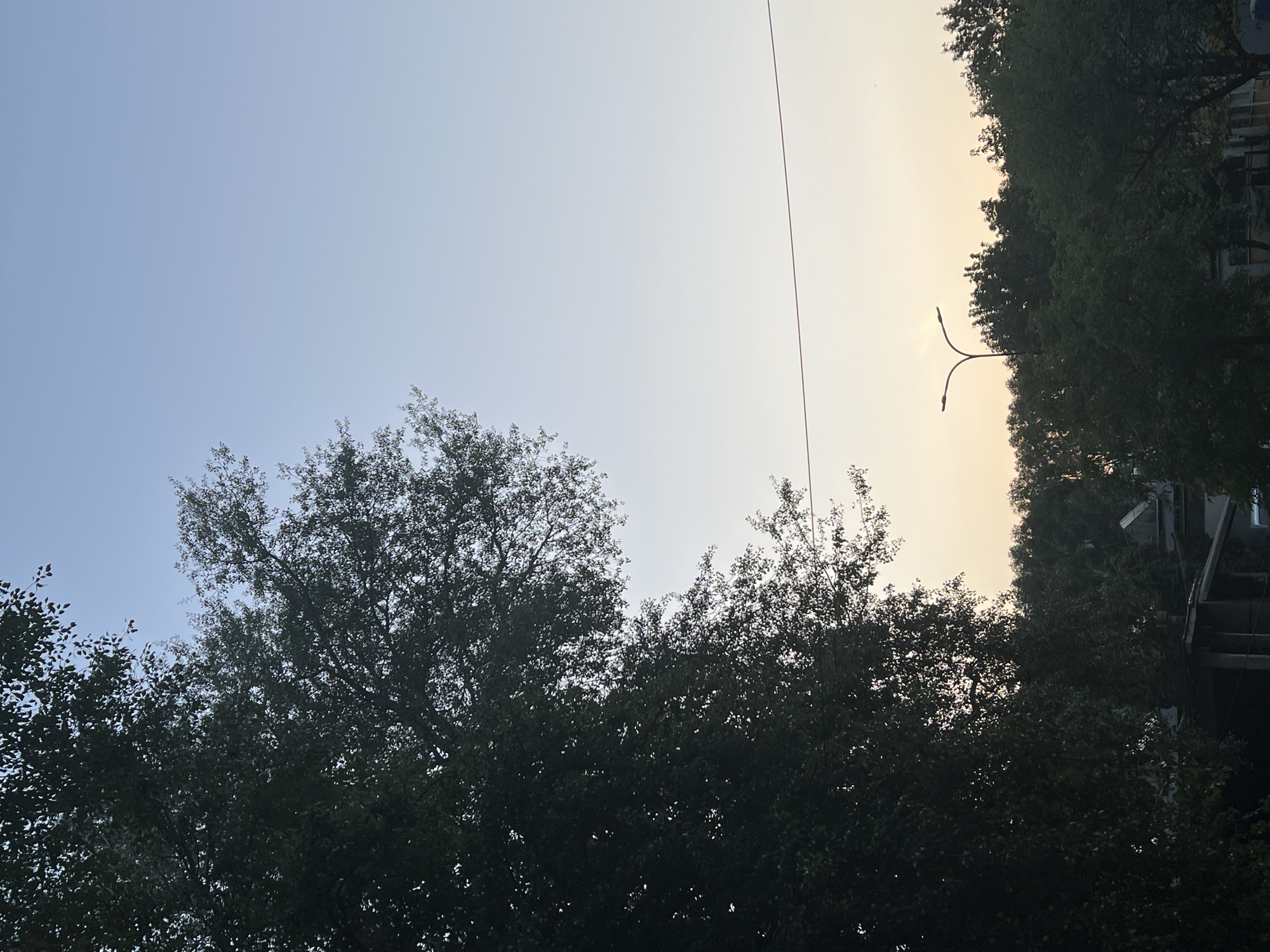 An outdoor, vertical, medium-shot captures a view of a streetlamp on a city street in Warsaw, Poland, in the early morning or late evening, as indicated by the soft, pale light coloring the sky and the subtle glow behind the trees. The streetlamp, with its two arms, is silhouetted against the horizon. In the foreground, the dark, dense foliage of a large tree dominates the left side of the frame, its leaves obscuring much of the background. Beyond the streetlamp and partially visible through the trees, there is a line of green trees and some low-rise structures, possibly buildings or sheds, adding to the urban setting. A thin, dark line, likely a power cable, stretches horizontally across the mid-section of the sky. The sky transitions from a pale blue at the top to a warmer, softer yellow and orange hue near the horizon.