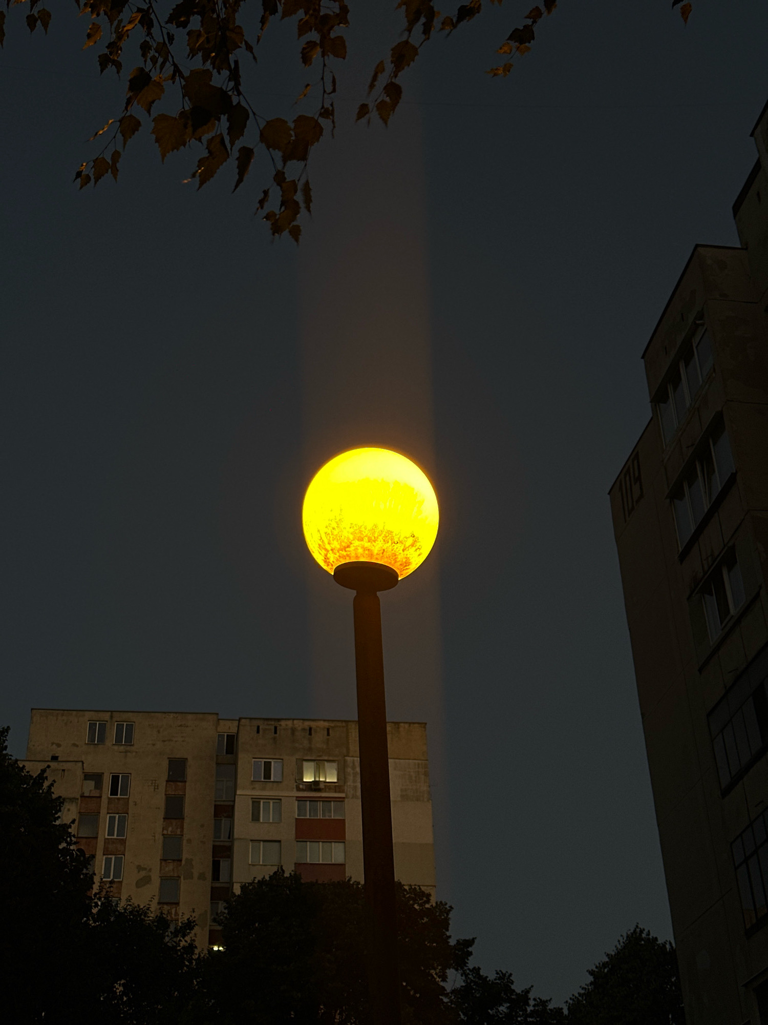 The image depicts a street lamp with a glowing orange orb illuminating the night sky. The lamp is positioned centrally, with its light creating a prominent vertical beam. To the left and right of the lamp, residential buildings are visible. The building on the left appears to be older and somewhat weathered, with multiple windows, some of which are illuminated. The building on the right is taller and more modern, with the number "109" visible on its facade. In the foreground and extending into the top of the frame, tree branches with dried leaves are visible, suggesting an autumnal setting. The overall atmosphere is dark and somber, with the street lamp providing the primary source of light. The scene is likely situated in a residential area of Sofia, Bulgaria, given the architectural style of the buildings. No people or active events are depicted in the image.