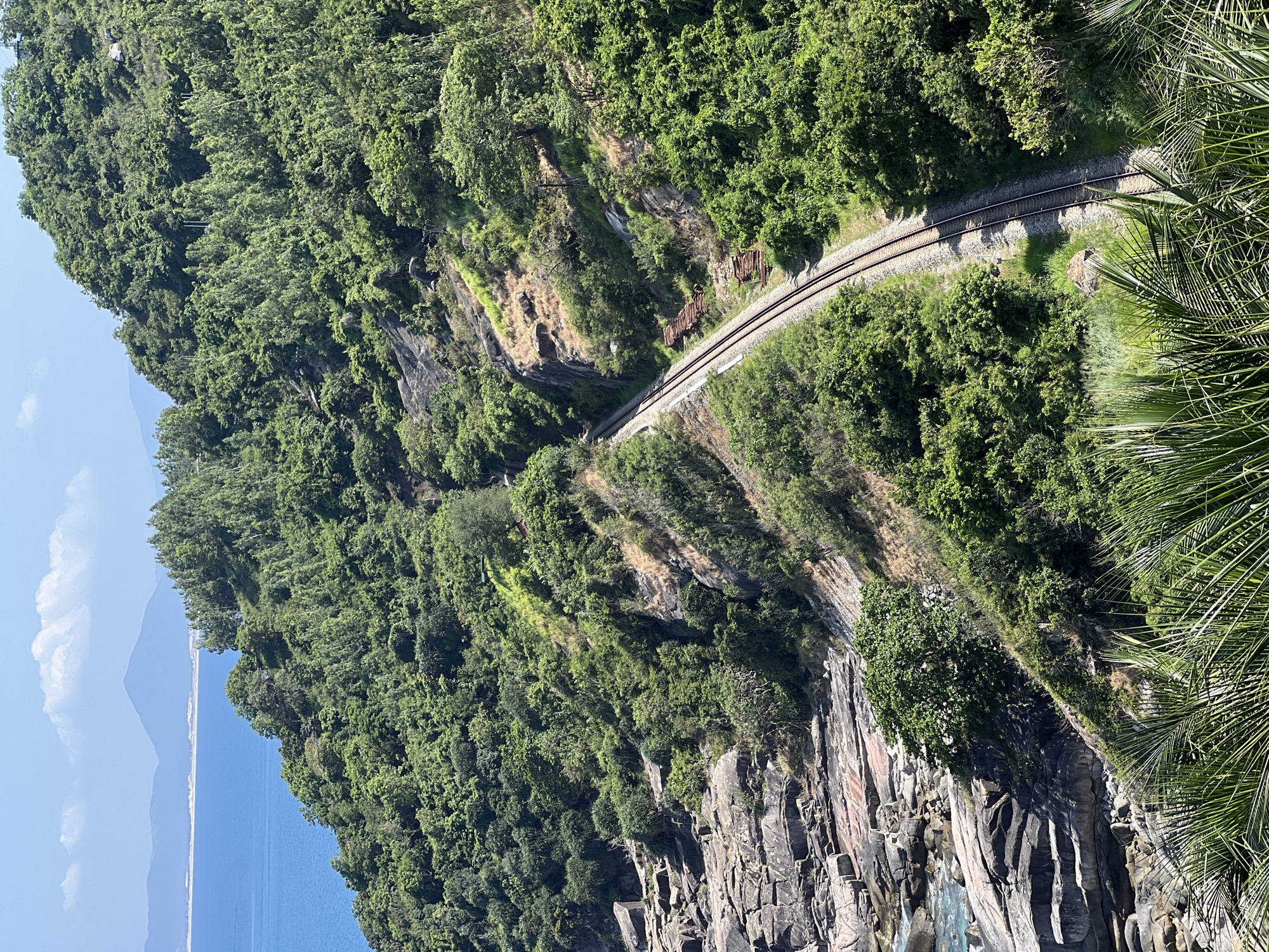 The image depicts a curved railway track running along a lush, steep hillside near the city of Hòa Xuân, Vietnam. The hillside is densely covered in green vegetation, including trees and shrubs. The railway track curves around a rocky outcrop and runs parallel to the cliff edge. Below the cliff is a body of water, presumably the sea, visible in the lower left of the image. The sky is partially visible, with the sea reaching the horizon. The rock face is composed of dark, vertical formations, adding texture to the landscape.