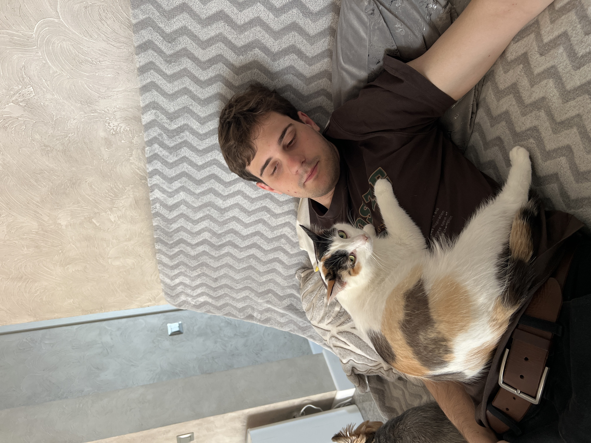 A man lies on a gray and white chevron patterned bedspread in a room in Rossiyskiy, Russia. He wears a brown shirt and a leather belt. On his chest lies a calico cat with green eyes, looking up towards the camera. The floor is visible in the bottom left, and the wall is beige. There is also a small dog in the bottom right corner.