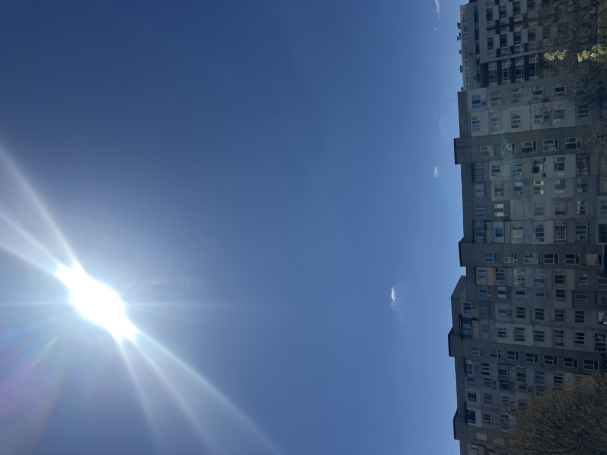 The image shows a tall, multi-story residential building in Sofia, Bulgaria, under a clear, blue sky. The building is made of concrete and features numerous windows. The sun is bright in the lower left corner of the frame, creating a lens flare effect. There are a few wispy clouds in the sky near the building. Some bare tree branches are visible along the bottom right side of the building. The building appears to be located in an urban environment, though the specific street or district is not identifiable from the image.