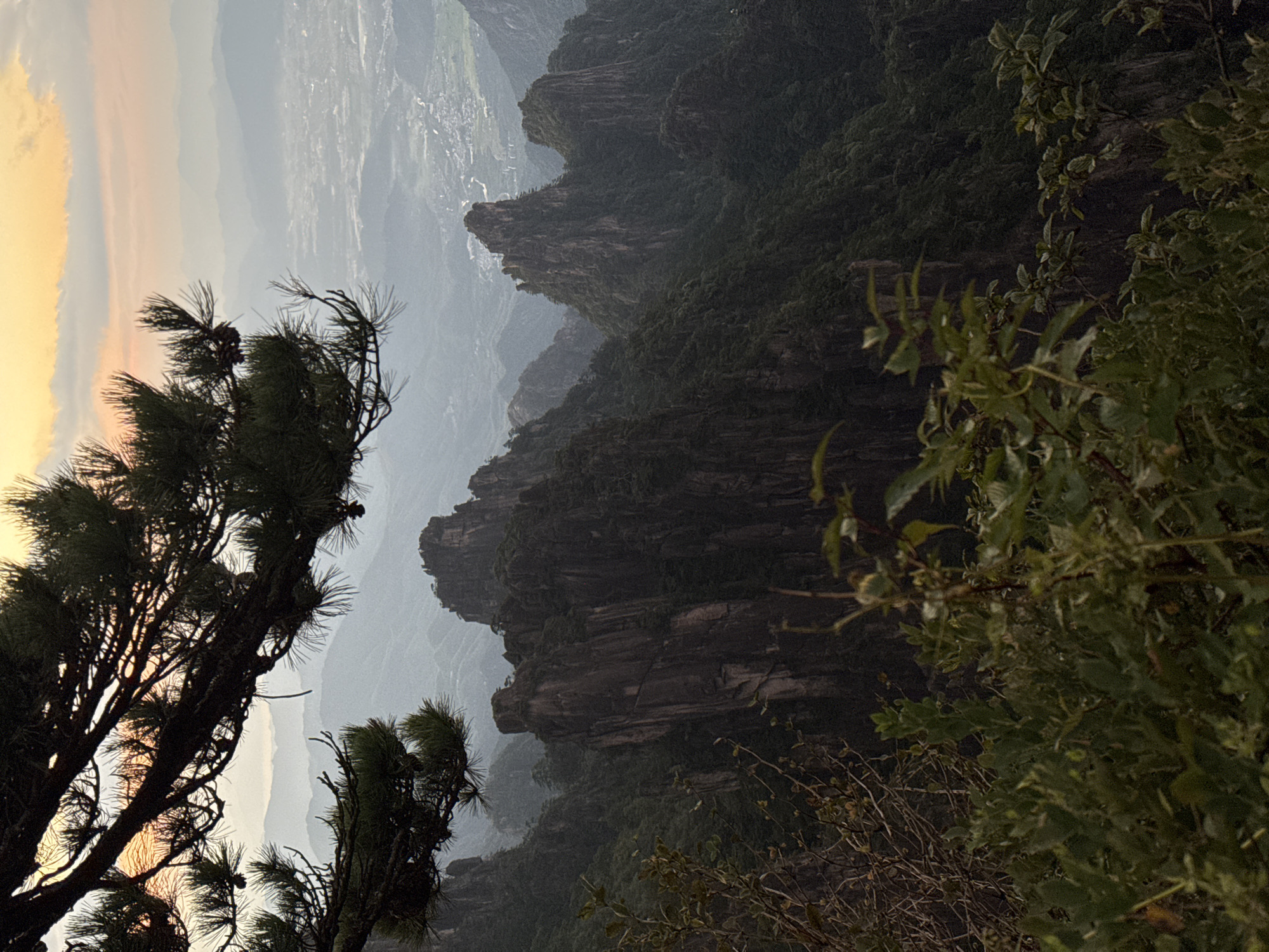 The image captures a dramatic mountain landscape at dawn or dusk. In the foreground, a large pine branch with needles hangs from the upper left, partially obscuring the view. Below the branch and in the mid-ground, jagged, dark, and steep mountain peaks rise, covered in dense green vegetation. The mountains exhibit sheer rock faces and are deeply shadowed, suggesting a rugged terrain. In the far distance, a hazy valley or plain is visible, with a town or city spread out below, illuminated by the soft, warm light of the setting or rising sun. The sky above is a gradient of pale yellow and pink, with scattered clouds. The overall atmosphere is one of natural grandeur and tranquility, with the foreground vegetation adding a sense of depth and perspective to the vast mountain vista. The location is likely within the Huangshan District of China, known for its iconic granite peaks and stunning natural scenery. There are no people or animals visible in the image.