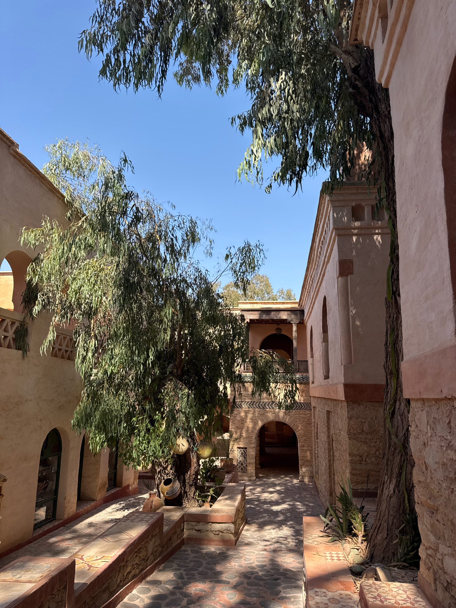 The image depicts a courtyard with an arched walkway and a large tree with long, slender leaves. The architecture features earthy tones and decorative patterns on the ground and walls. Sunlight casts shadows across the paved courtyard. The scene is likely located in Agadir, Morocco, given the architectural style and vegetation commonly found in the region. There are no people or animals visible in the image. The overall impression is one of a tranquil, traditional Moroccan setting.