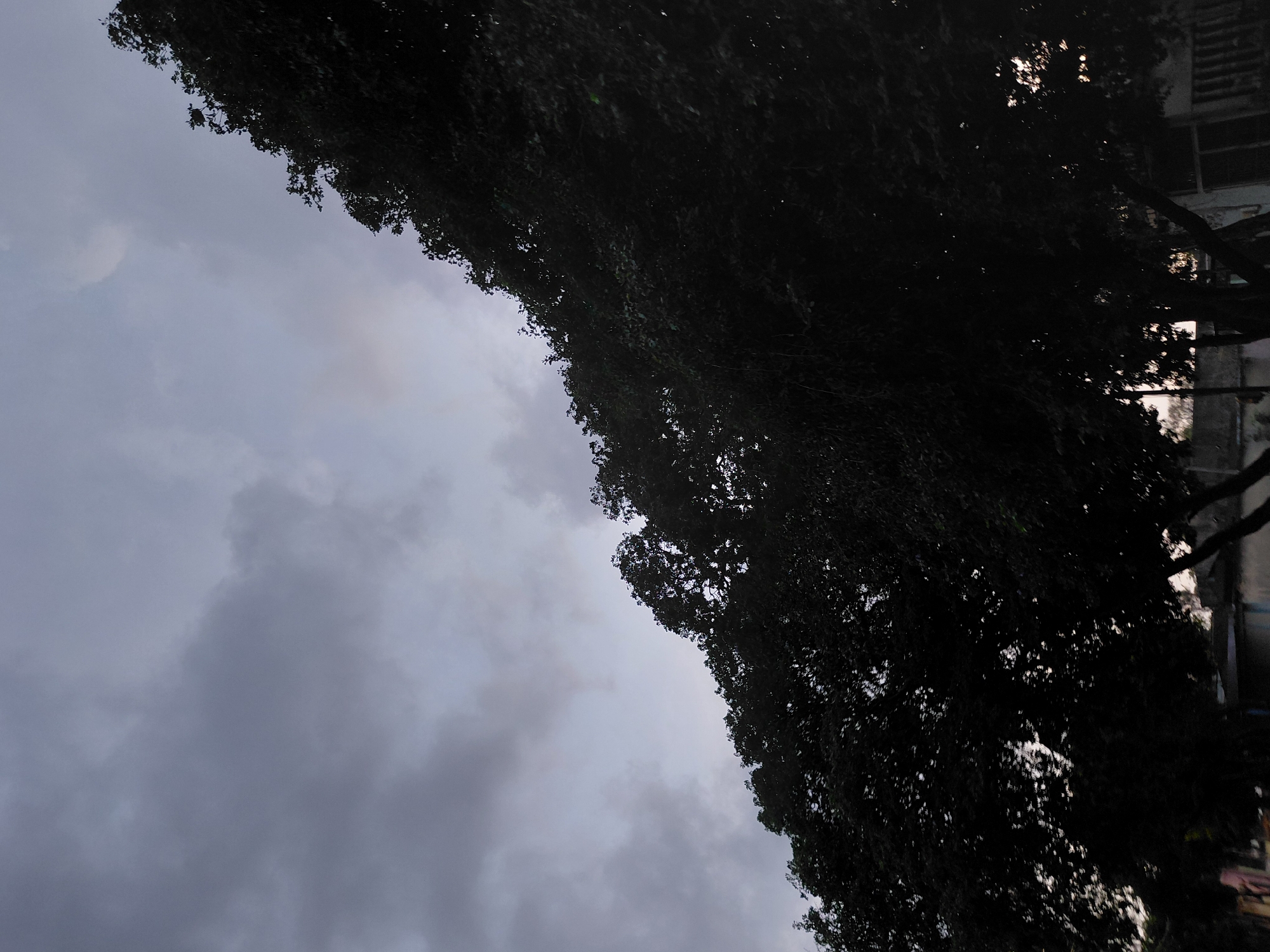 This image depicts an outdoor scene in Santa Ana, Venezuela, characterized by low light, likely during dusk or an heavily overcast day. The composition is sharply divided by a diagonal line formed by a dense canopy of trees occupying the lower and right portions of the frame, contrasting with a cloudy sky in the upper and left. The sky exhibits various shades of grey cloud cover; a subtle, diffuse circular area of lighter illumination is visible in the upper right quadrant, indicative of a celestial body, possibly the moon, partially obscured by atmospheric conditions. The trees are presented as a dark, amorphous silhouette, with individual leaves indiscernible due to the profound shadowing. At the extreme bottom of the image, through breaks in the foliage, indistinct outlines of structures such as buildings or walls are faintly visible, suggesting an urban or suburban setting at ground level. No human figures, specific actions, or discernible objects are present within the scene.