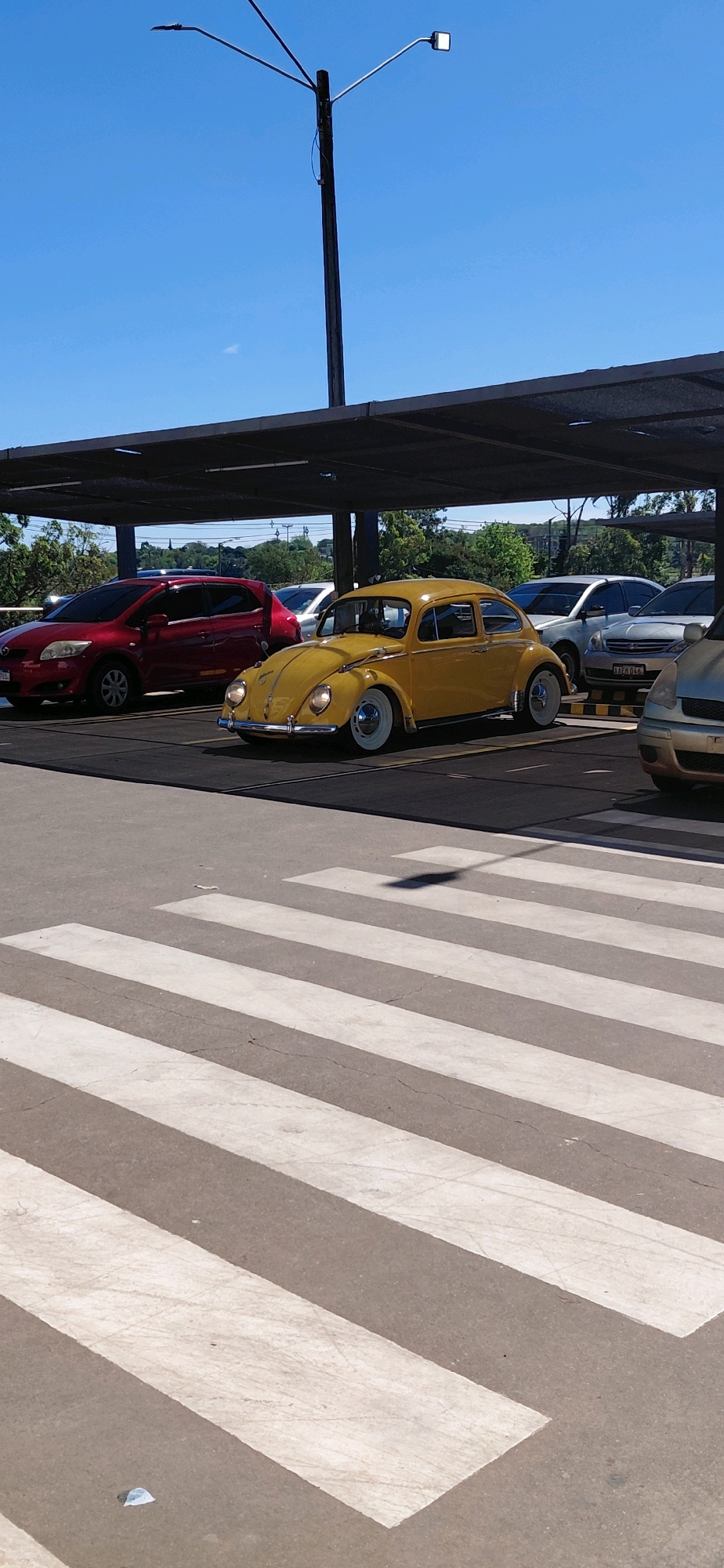 The image depicts a bright, sunny day in Encarnacion, Paraguay, likely in a parking lot under a covered structure. The foreground is dominated by a pedestrian crosswalk with alternating white and gray stripes, showing signs of wear and tear. In the mid-ground, a classic yellow Volkswagen Beetle is parked, facing to the right. The Beetle has white hubcaps and appears to be in good condition. To the left of the Beetle, a red hatchback is parked, partially visible. Behind these vehicles, other cars are parked under the shelter, which has a dark-colored roof supported by dark poles. The background reveals a clear blue sky with a single, small white cloud. A tall light pole with multiple arms and lights extends upwards from the right side of the image, casting a shadow across the crosswalk. Trees and foliage are visible in the distance, suggesting an urban or suburban setting. The overall scene is static, with no people or activity immediately apparent.