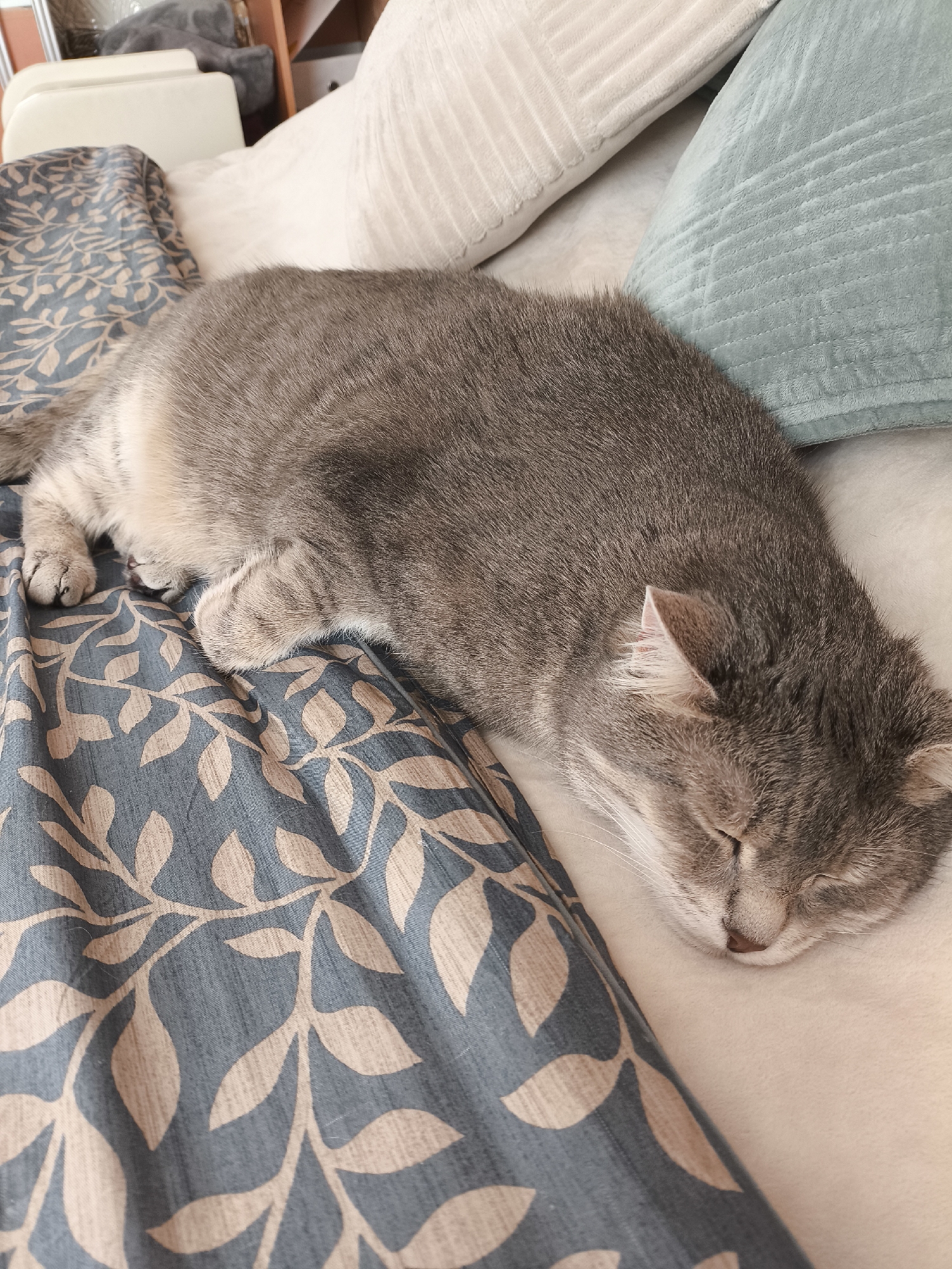 A grey tabby cat is sleeping on a couch. The cat is lying on its side, with its head resting on a cream-colored pillow. Its eyes are closed, and its mouth is slightly open. The cat's fur is short and soft, and it has black stripes on its back and tail. The couch is covered in a blue and beige floral pattern. There are other pillows on the couch, including a light blue one and a white one. The scene appears to be indoors, possibly in a living room. The lighting is soft, suggesting it might be daytime, but the curtains are not visible to determine the time of day. The cat seems to be relaxed and comfortable, implying a peaceful and quiet atmosphere. There is no visible text in the image.