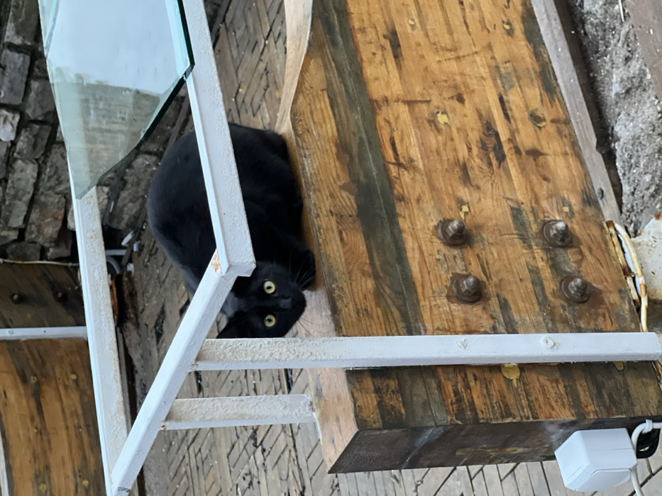 A black cat with yellow eyes is perched on a white metal staircase. The cat looks up at the camera. Behind the cat is a light brown wooden table with four large bolts securing the top. The table sits on a patio or deck with a weathered brick or stone surface. The top of the staircase has a glass panel.