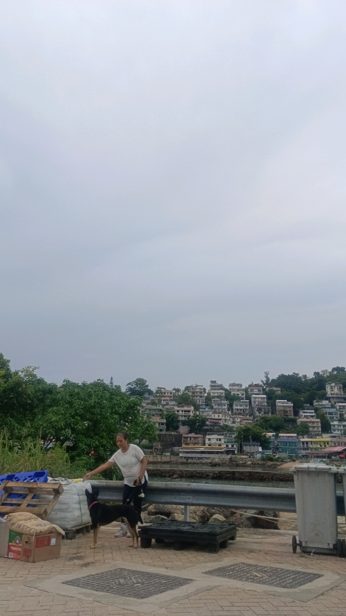 A woman, wearing a white t-shirt and dark pants, is standing outdoors next to a black dog. She is reaching out to pet the dog, which is facing away from the camera. The scene appears to be in a semi-urban or coastal area, possibly a waterfront promenade, with buildings and vegetation in the background. The buildings in the distance are densely packed and built on a hillside. The sky is overcast. To the left of the woman, there are some stacked wooden pallets and a large white bag. To the right, there are two large grey trash bins. The ground is paved with interlocking bricks. The overall impression is a casual, everyday moment captured in a visually rich environment that suggests a location within the city of Hong Kong, China, given the characteristic density of buildings on hillsides and the proximity to water.