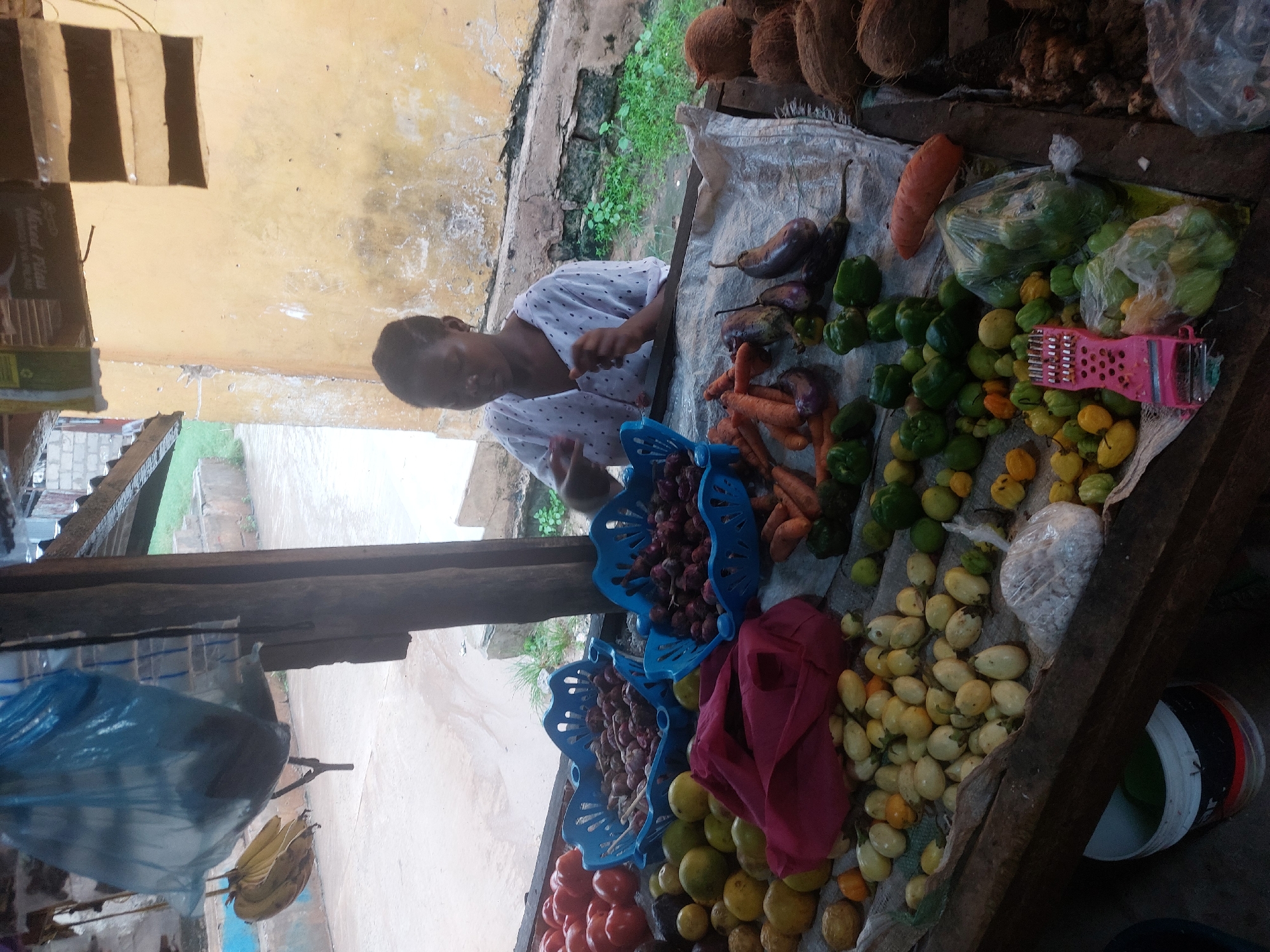 A vendor sits at a table laden with produce at a roadside market, perhaps in Dar es-Salaam, Tanzania. She wears a white polka-dot shirt and faces the camera, behind a display of vegetables and fruits including tomatoes, onions, eggplants, carrots, peppers, and other local produce. Coconuts are piled up at the back of the table. A pink kitchen grater sits among the peppers. Some items are in blue plastic baskets. The table is covered with a white tarp. A bucket sits on the ground beside the table. The setting appears to be an open-air market stall near a building.