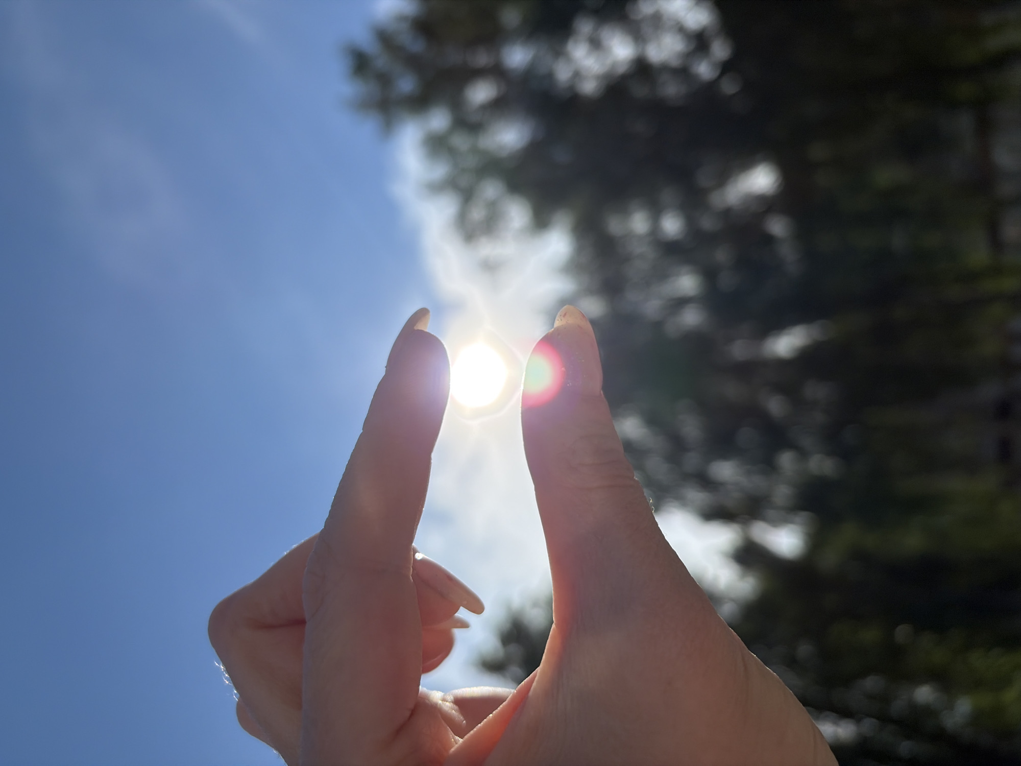 A view of the sun between two fingers, with a blue sky and blurred foliage in the background. The location is unknown.