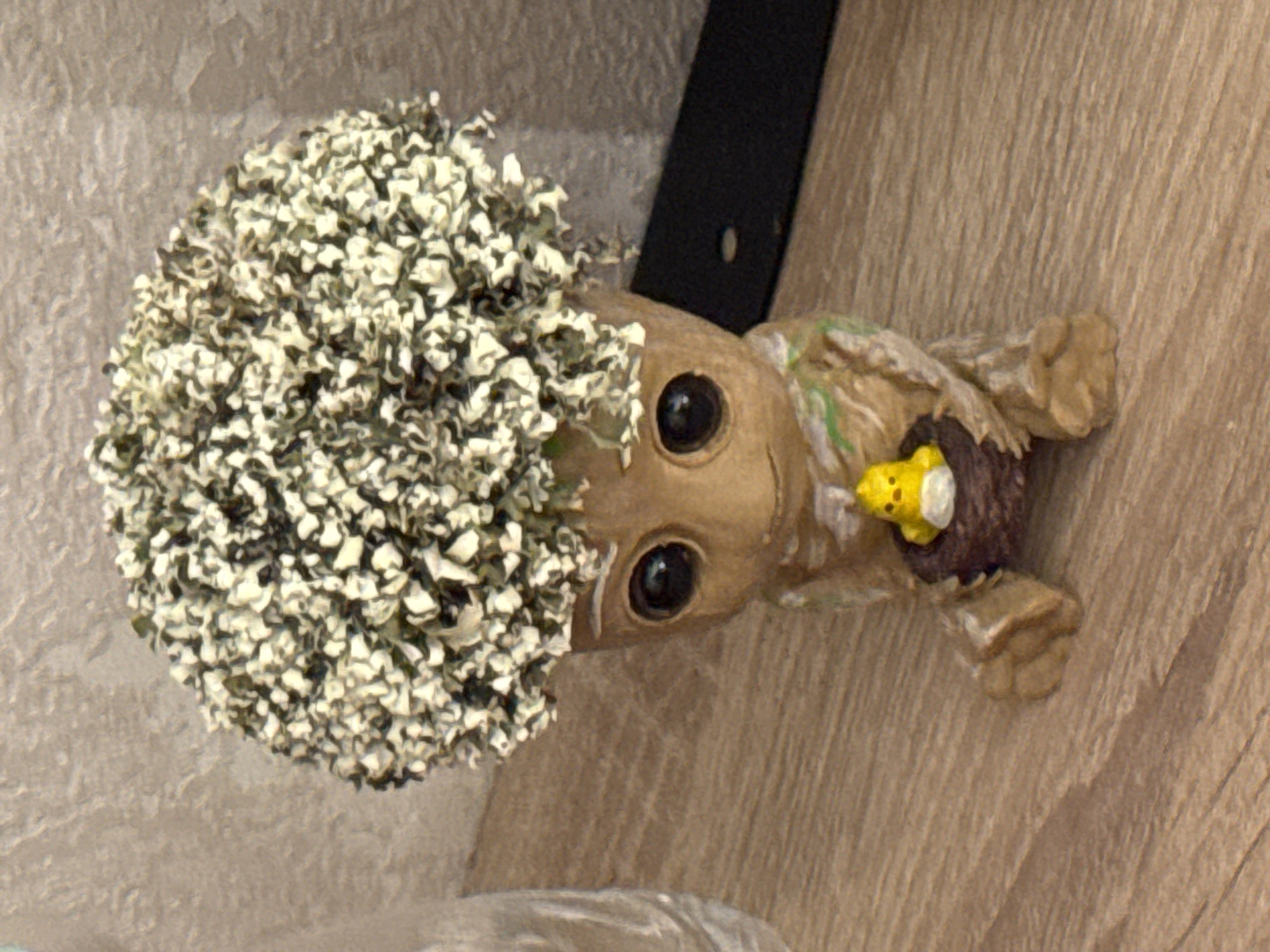 A small, brown, figurine resembling a tree-like creature with a bushy, light-colored top sits on a wooden surface. The figurine has two large, black, round eyes and a small, smiling mouth. It is holding a small, brown nest in its hands, and inside the nest is a tiny, yellow chick figurine. The background is textured, a neutral beige color. To the left of the figurine, a clear glass object is partially visible. To the right, a black object with a small, circular indentation is present. The lighting is diffused, casting subtle shadows on the wooden surface. There are no people present in the image, and the scene is static. The location of this image is not specified within the provided information.