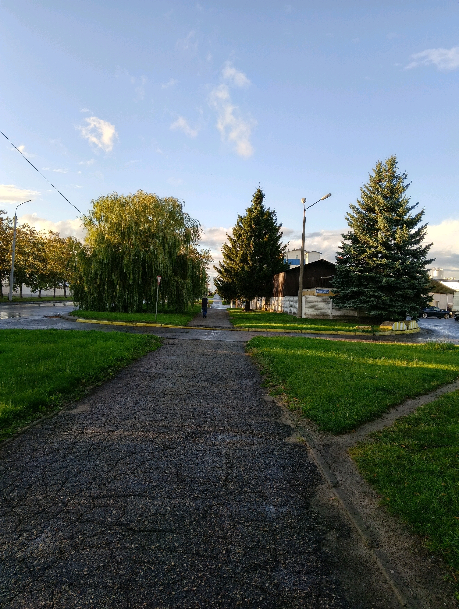A paved pathway leads away from the viewer towards a street intersection. To the left of the pathway, a large weeping willow tree stands on a grassy island bordered by yellow paint. Beyond the willow, a street curves to the left, with wet asphalt and parked cars visible. On the right side of the pathway, a well-maintained lawn is visible. In the distance, along the street, several trees and buildings can be seen. Two tall evergreen trees stand prominently to the right of the pathway, with a street lamp between them. A single person, dressed in dark clothing, walks away from the viewer on the pathway towards the intersection. The sky above is a clear blue with scattered white clouds, and the sunlight suggests it is late afternoon. The overall scene depicts a quiet urban park or streetscape. The location is identified as Hrodna, Belarus.