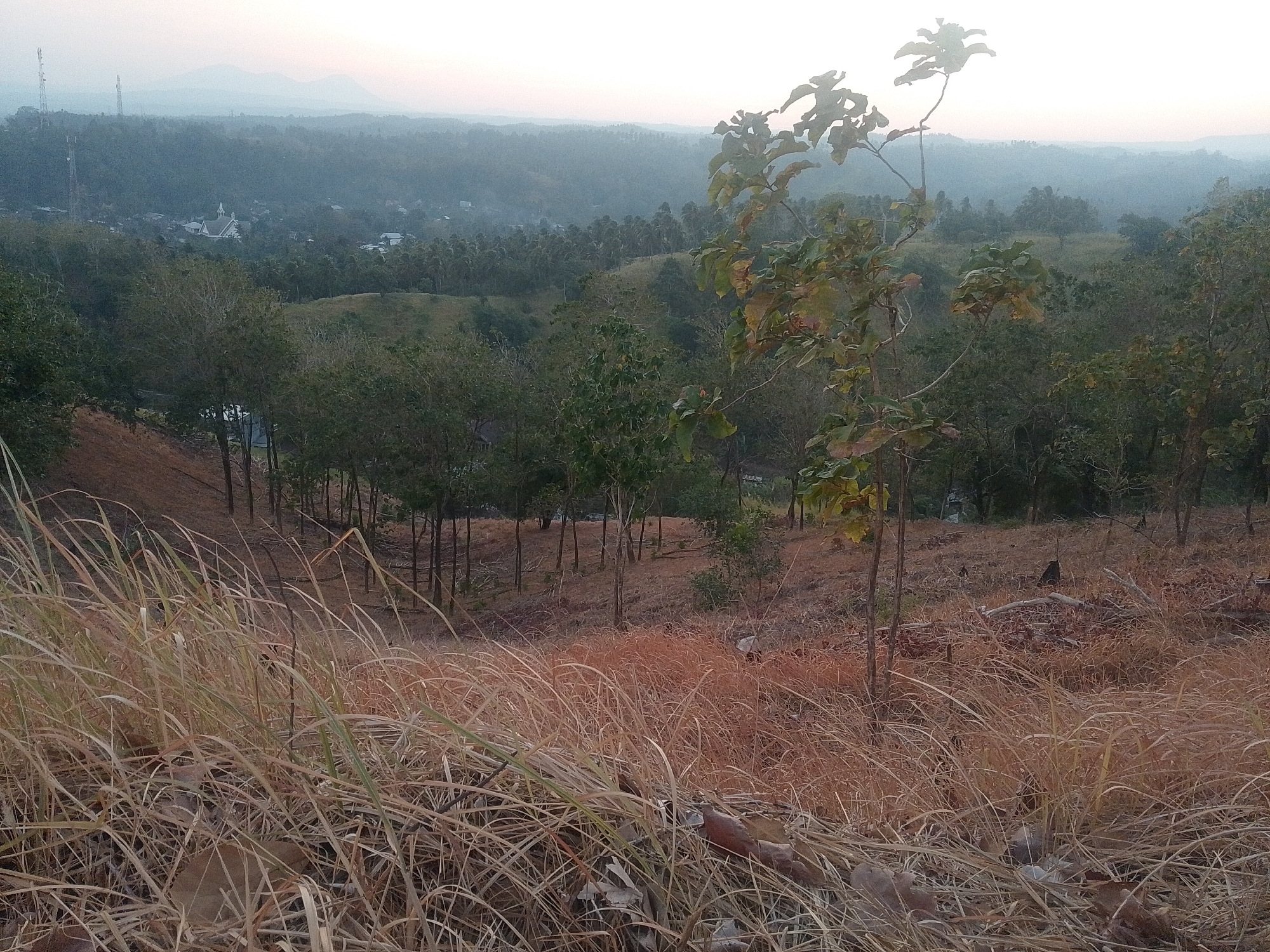 The image shows a distant view of a town in Buyungon, Indonesia, nestled within a valley of rolling hills. The town appears to be clustered around a white building, possibly a church, with several telecommunications towers visible in the background. The foreground of the image is dominated by dry, golden grass and a few scattered trees, suggesting a dry season or undeveloped area. The overall atmosphere is hazy and serene, with the soft light of dawn or dusk casting a gentle glow over the landscape. The scene depicts a rural setting, characterized by its natural beauty and the presence of a small community.
