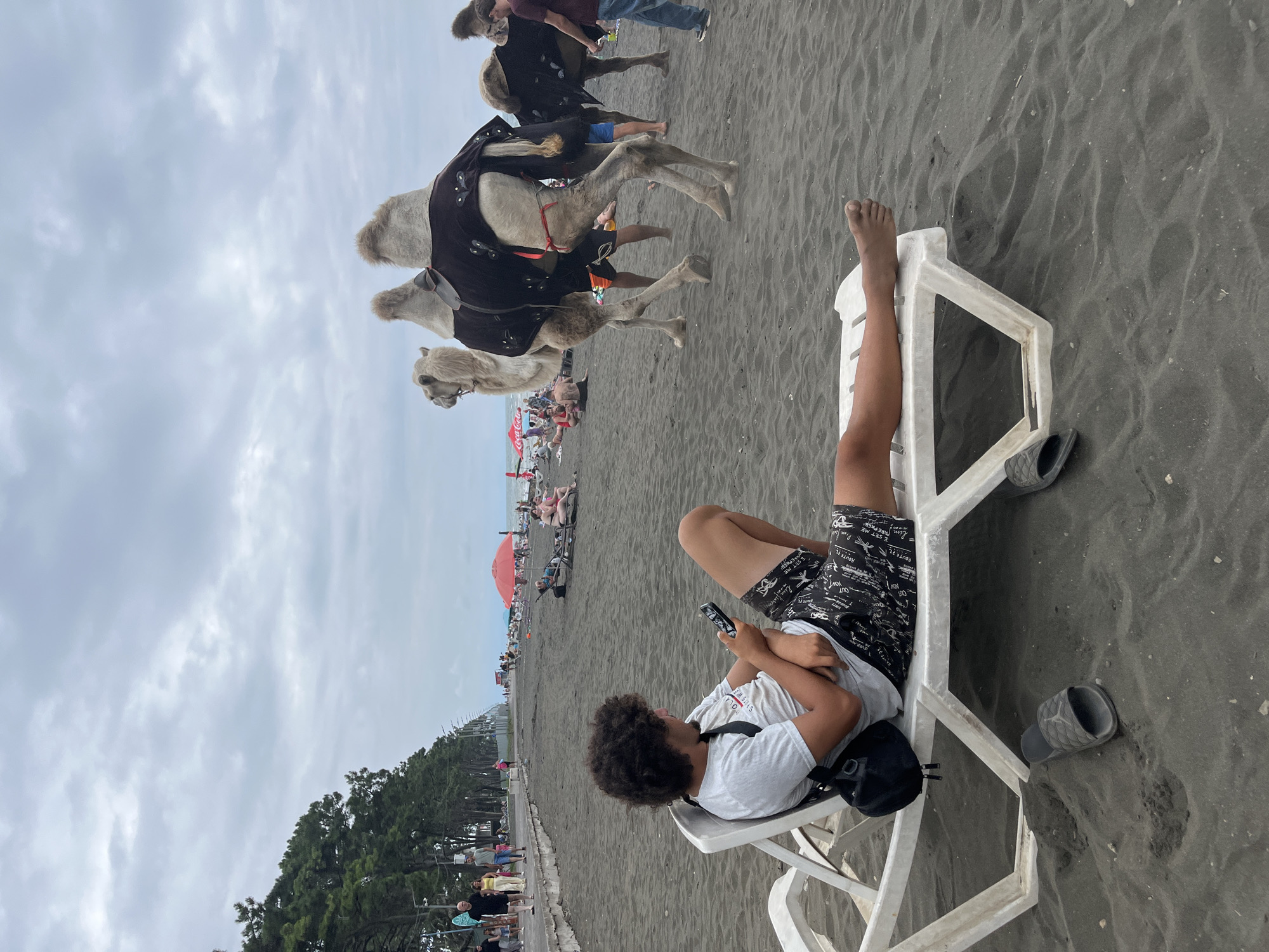 This image depicts a beach scene in Ureki, Georgia, known for its magnetic black sand. In the foreground, a young man with curly hair is reclining on a white plastic beach chair, engrossed in his smartphone. He is wearing a white t-shirt and patterned shorts, with a black bag resting on the chair beside him. His feet are visible, and a pair of dark slides are placed on the sand near the chair.
In the mid-ground, two camels are present on the dark sand, adorned with decorative blankets. One camel faces left, while the other faces right, with their backs to the viewer. Several people are scattered across the beach in the background. Some are seated on chairs or towels, while others are walking along the shoreline or a paved pathway. A line of trees borders the pathway, and in the distance, umbrellas can be seen, suggesting other beachgoers enjoying the area. The sky is overcast with clouds.