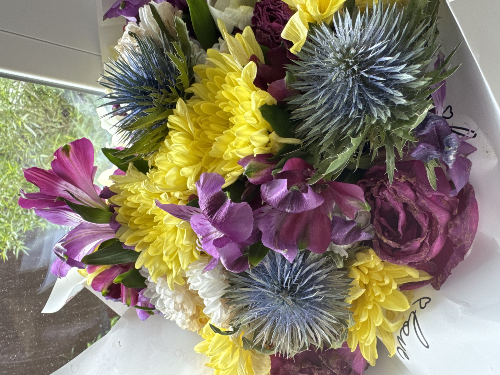 This media file features a close-up, eye-level view of a vibrant bouquet of flowers, predominantly yellow chrysanthemums, interspersed with purple alstroemeria, blue thistle-like flowers, and deep red, possibly dried, roses. The flowers are arranged in a white wrapping, possibly paper or plastic, which is partially visible. Some of the flowers appear to be fresh and brightly colored, while others, particularly the red roses, look withered and dried, suggesting a mix of new and old blooms. A black cursive inscription, "Love," is visible on the white wrapping. The background is blurred, showing hints of greenery and what appears to be a window frame, suggesting the bouquet might be placed near a window. The lighting suggests it could be daytime, as there's natural light illuminating the flowers. The scene is static, focusing solely on the floral arrangement. The overall impression is one of a thoughtful gift or decorative display. There is no specific activity or event depicted, other than the passive presentation of the flowers. No people are visible. The setting is suggested to be indoors, near a window, with a hint of outdoor greenery visible through the glass.