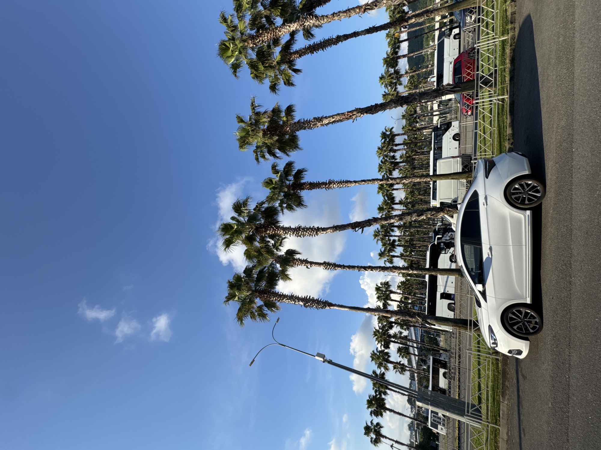 In Sirius, Russia, a bright, sunny day unfolds with a clear blue sky dotted with a few scattered white clouds. A row of tall palm trees lines the right side of the frame, their fronds reaching towards the sky. In the foreground, a white sedan is parked on an asphalt road, its side profile visible. Behind the car, a white fence separates the road from a grassy area where several white tour buses are parked. In the distance, more palm trees and various buildings are visible, suggesting an urban or resort setting. The scene is tranquil and evokes a sense of warmth and relaxation.