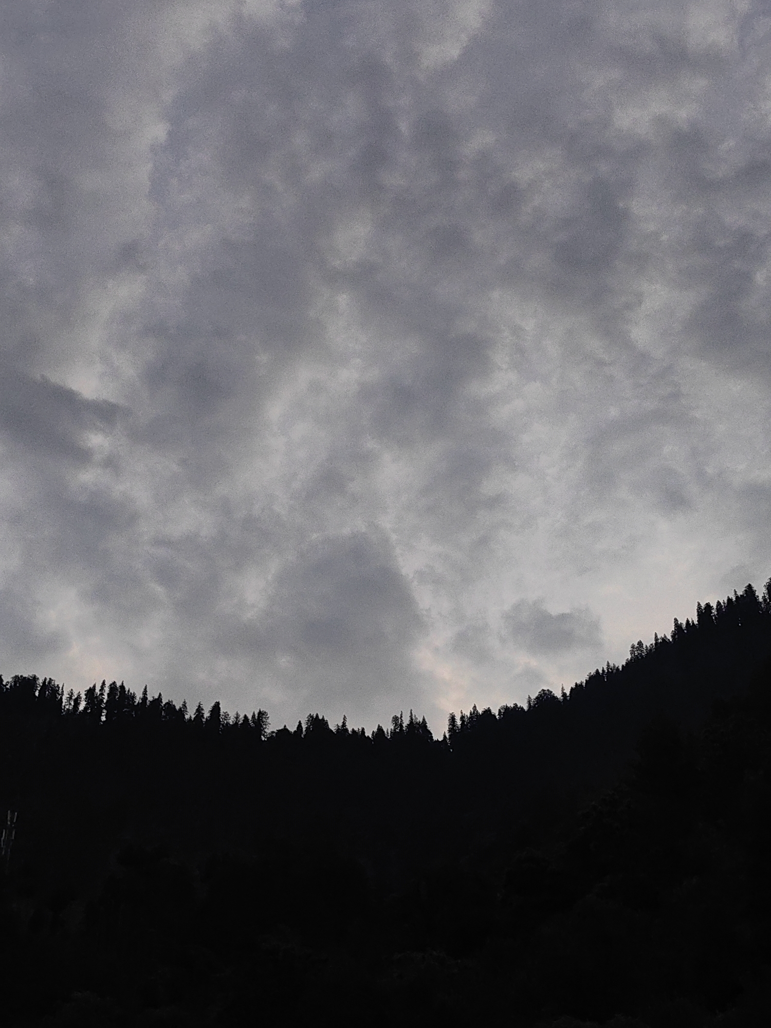 The image depicts a dense forest of coniferous trees silhouetted against a cloudy sky. The trees form a dark, undulating line across the lower portion of the frame, suggesting a hillside or mountain slope. The sky is filled with various shades of gray clouds, with some lighter patches hinting at distant light sources. The overall mood is somber and perhaps indicative of an overcast or approaching storm. The image does not contain any people, objects, or actions that would indicate a specific location within the city of Vashisht, India, beyond it being a natural, possibly mountainous environment.