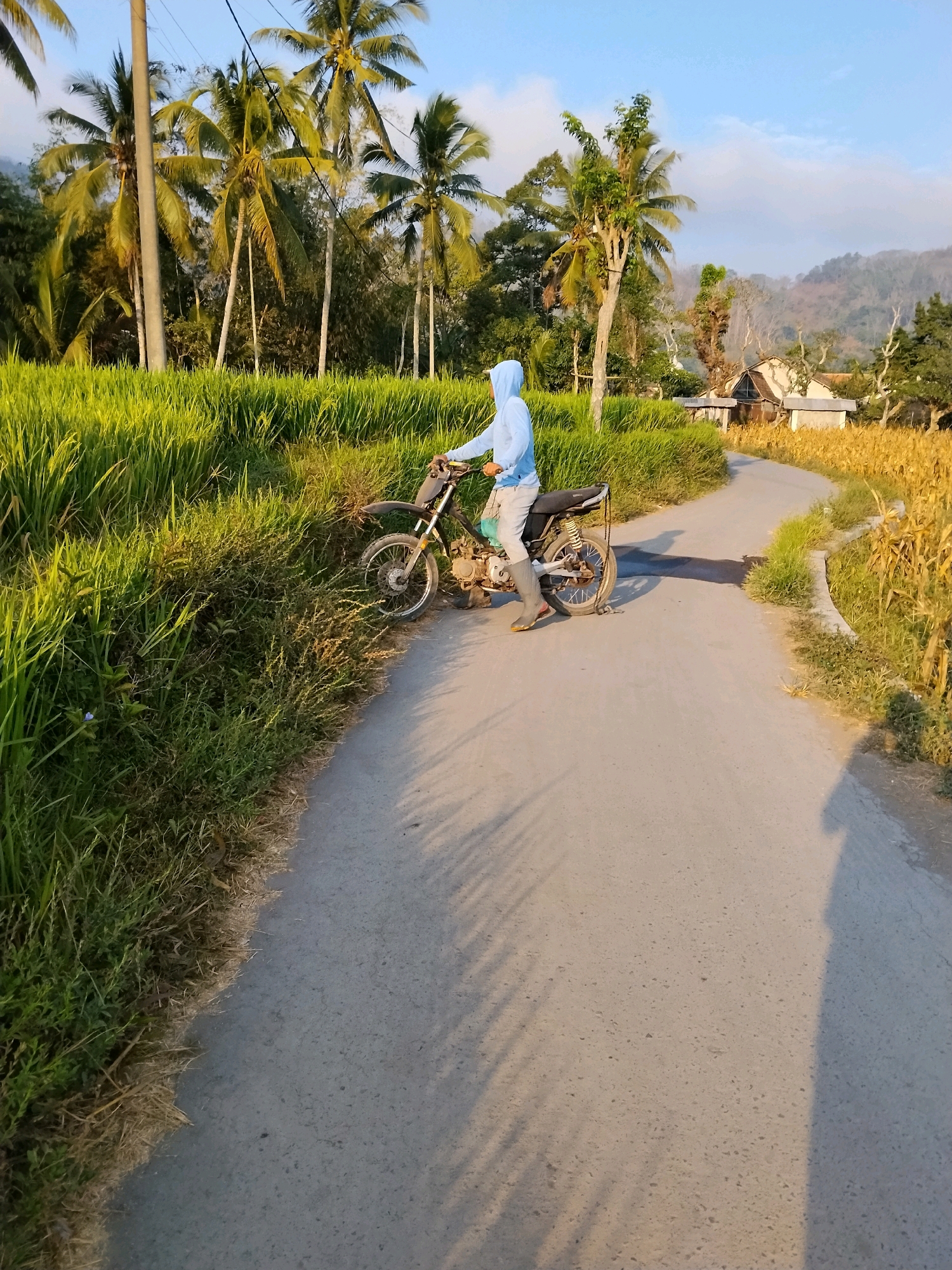 A person wearing a blue hooded sweatshirt and light-colored pants is sitting on a dirt bike on a paved road. The person is facing left and appears to be stationary. The dirt bike is black with silver accents. The road is surrounded by lush green grass and tall palm trees on the left side. On the right side of the road, there is a field of dry corn stalks and some houses in the distance. The sky is blue with a few scattered clouds. The sun is low in the sky, casting long shadows across the road. The scene appears to be in a rural area of Tlogosari, Indonesia.