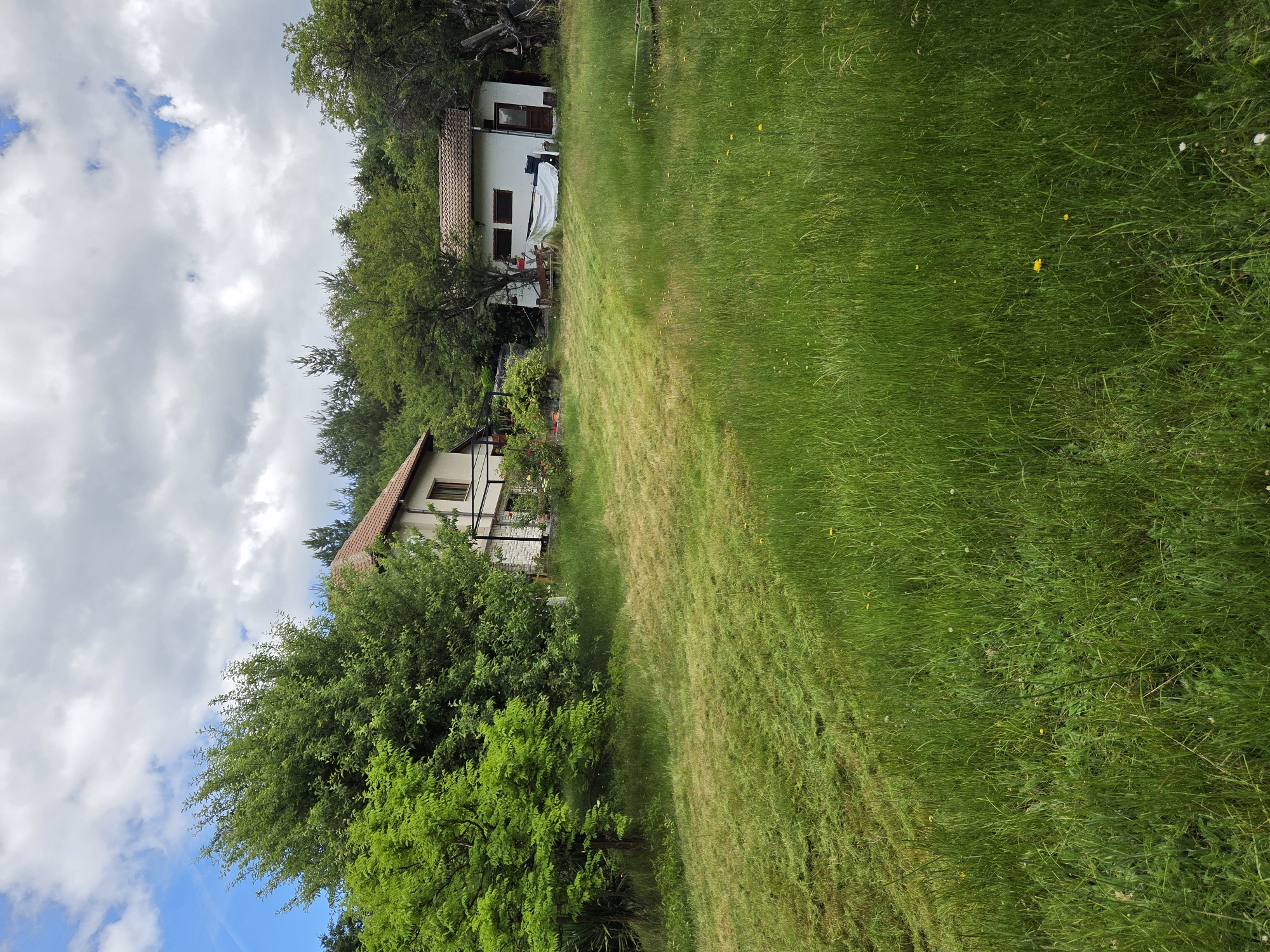 The image depicts a property in Gorna Dikanya, Bulgaria, featuring a two-story house and a smaller outbuilding situated amidst lush greenery and overgrown grass. The main house, with its red-tiled roof, is visible on the left, while the white outbuilding with a tiled roof is positioned to the right. The yard is characterized by a freshly cut section of grass in the foreground, contrasting with taller, untamed grass and scattered yellow wildflowers further back. Trees, including a large, vibrant green one on the left, and dense foliage surround the structures, suggesting a rural or semi-rural setting. The sky above is partly cloudy, with patches of blue visible between the white and grey clouds. There are no people or animals visible in the scene. The overall impression is one of a well-kept, yet somewhat wild, residential property.