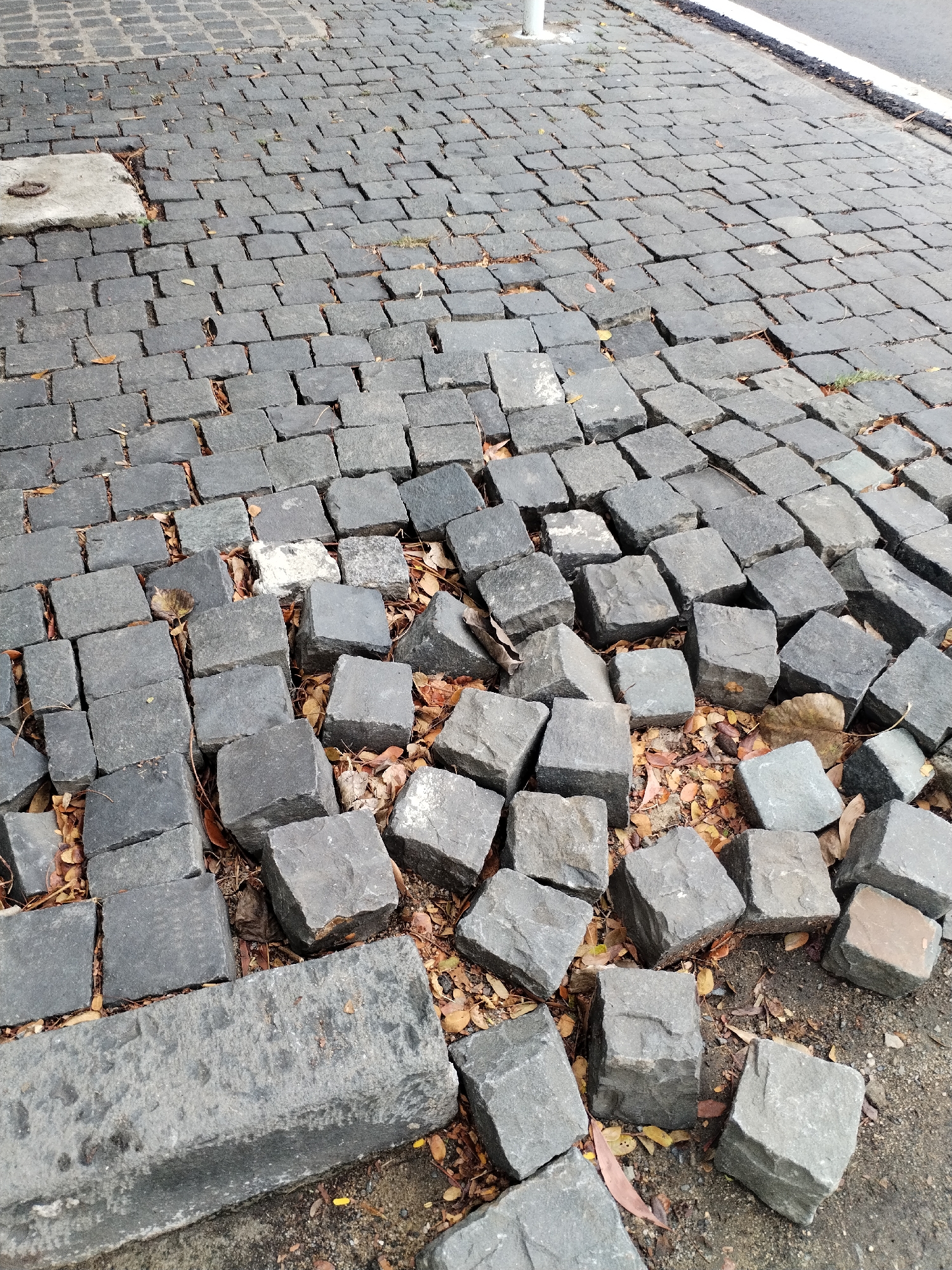 A section of a cobblestone street in Nha Trang Ward, Vietnam, is severely damaged. Gray, cube-shaped cobblestones are scattered on the ground amidst fallen leaves. The intact portion of the cobblestone street extends beyond the damaged area. A concrete curb or sidewalk is visible along the street's edge. A vertical pole is located near the intact cobblestone area.