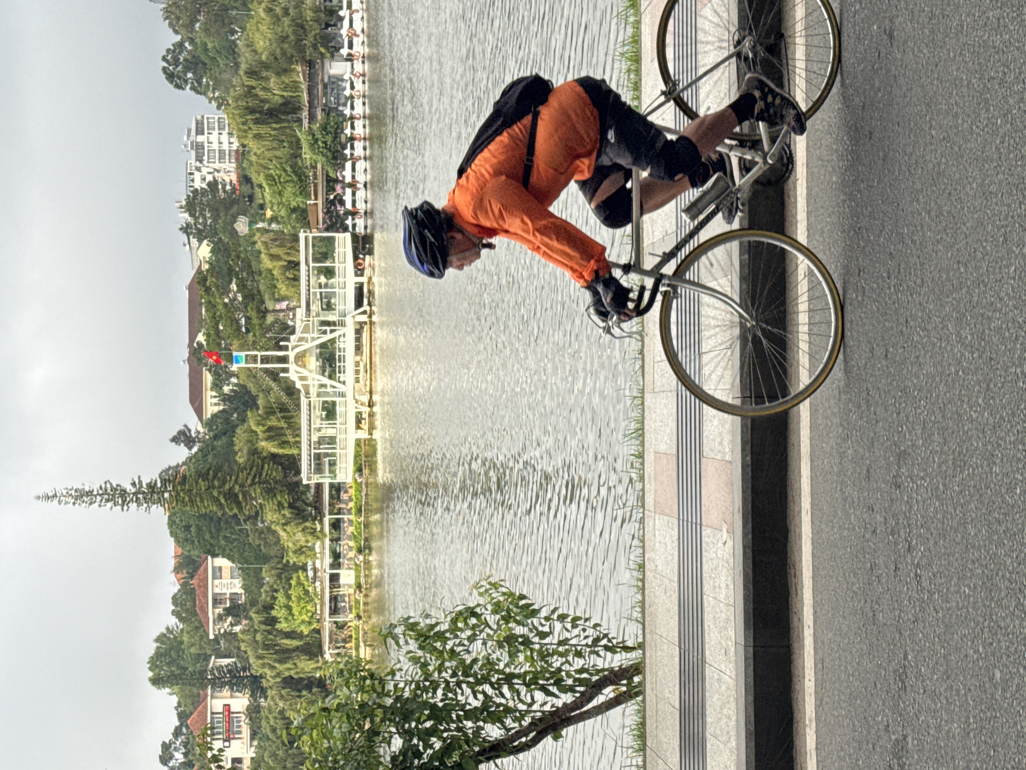 An individual is depicted cycling from right to left on an asphalt road in Da Lat, Vietnam, adjacent to Xuan Huong Lake. The road transitions to a concrete curb, followed by a tiled sidewalk with tactile paving strips, and a narrow grass verge separating it from the lake.
The cyclist, an adult, wears an orange long-sleeved shirt, black shorts with visible black knee pads, black fingerless gloves, a black backpack, and a blue and black cycling helmet. The individual is riding a silver-colored road bicycle equipped with drop handlebars, a silver water bottle in a frame-mounted cage, and tires featuring light-colored sidewalls. Their footwear consists of patterned athletic shoes.
Across Xuan Huong Lake, a prominent white architectural structure, likely a boat station or pavilion, features a tower flying the national flag of Vietnam (red with a yellow star). Adjacent to this structure, a line of white pedal boats or similar recreational vessels is docked along the shore. The far side of the lake is bordered by densely vegetated hillsides, upon which numerous multi-story residential or commercial buildings, typical of Da Lat's architecture, are situated. A notably tall and slender conifer tree stands out among the foliage on the distant hillside. Weeping willow-like trees line parts of the opposite shore, and a smaller deciduous tree with green leaves is positioned in the mid-left foreground, close to the lake. The lake's surface exhibits ripples, suggesting movement or a light breeze, and the sky overhead is overcast.