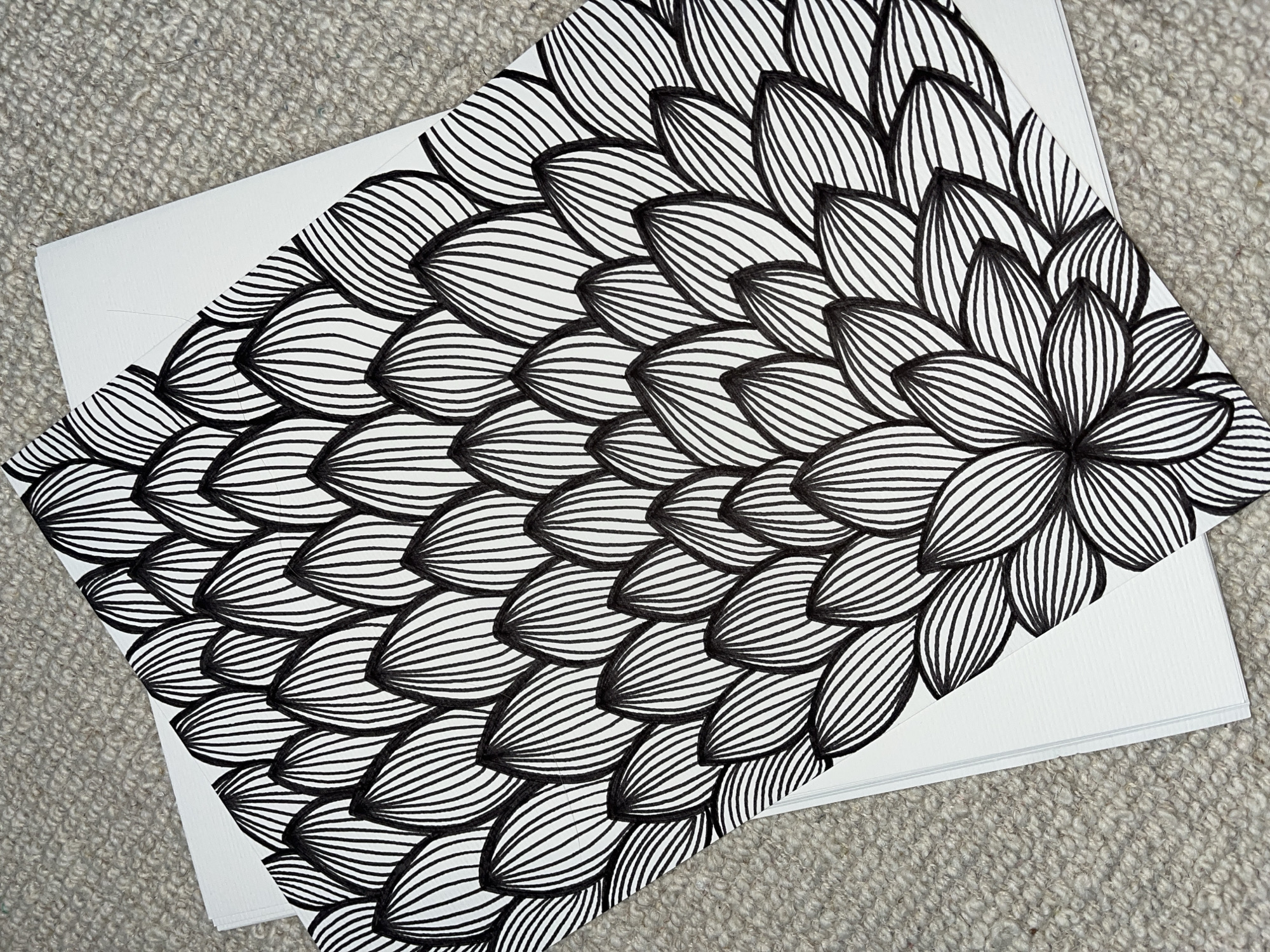 The image shows a hand-drawn black and white floral design on a stack of white paper. The floral design consists of numerous petal-like shapes, each filled with parallel lines. These shapes are arranged in overlapping rows, creating a dense, scaled pattern reminiscent of a fish or dragon. The composition culminates in a central flower with defined petals at the upper right of the image. The paper stack rests on a grey, textured surface.