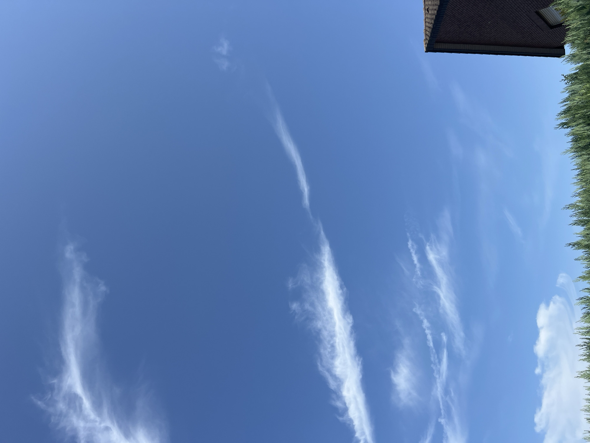 The image shows a clear blue sky with wispy white clouds. In the lower right corner, the roof and upper portion of a dark brown brick house are visible, along with a line of green evergreen trees along the bottom edge of the frame. The scene appears to be outdoors in a residential area.