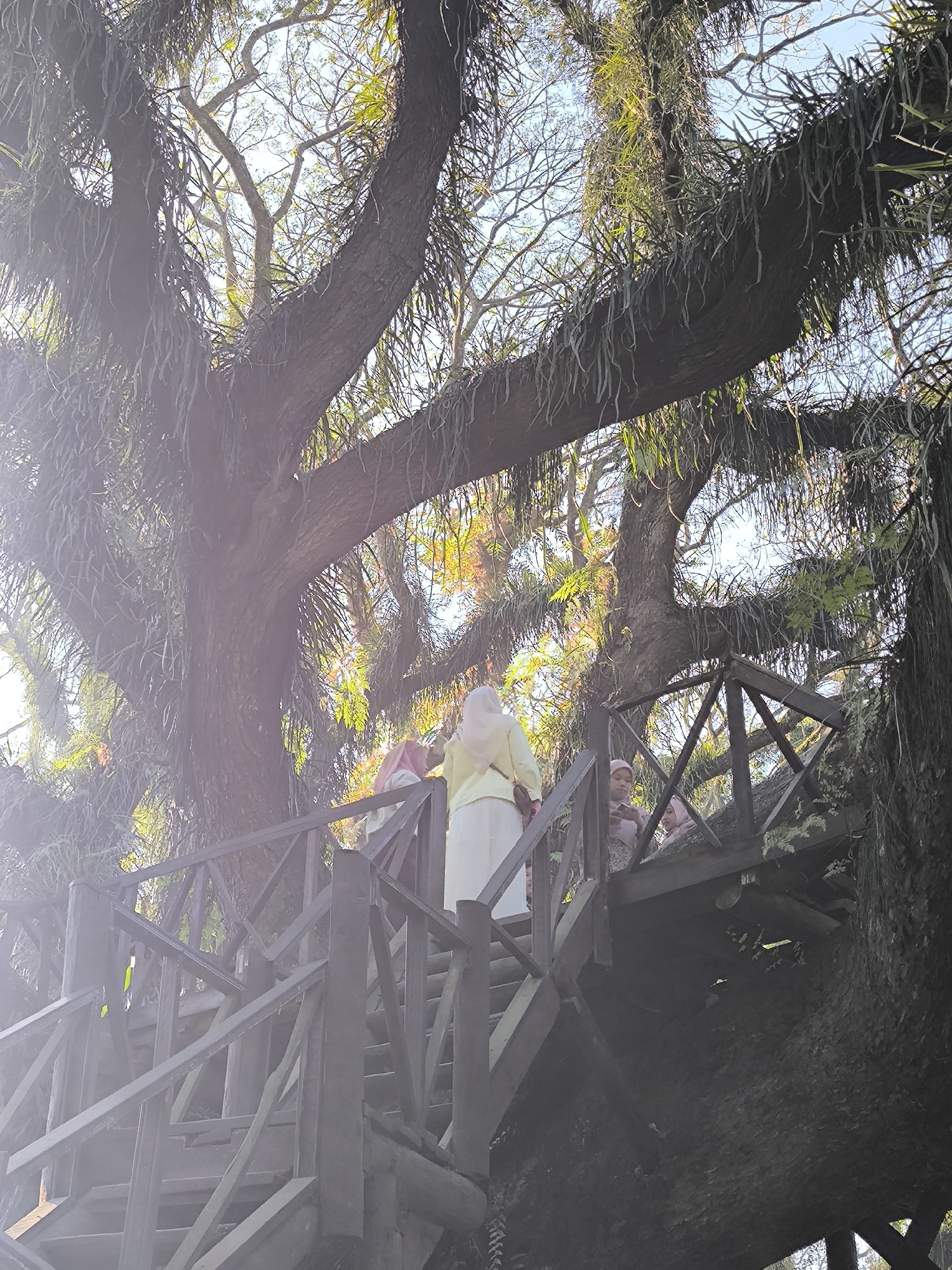 The image shows a wooden staircase ascending a large tree with many epiphytes. Three people, likely tourists, are visible on the staircase. One person in a yellow headscarf and white dress is at the top of the stairs, looking away from the camera. Two other people, one in a pink headscarf and patterned dress, and another partially obscured individual, are further down the stairs. The tree is massive, with thick branches covered in hanging plants and leaves. Sunlight filters through the foliage, creating lens flare in the upper left portion of the image. The setting appears to be an outdoor attraction, possibly a park or natural landmark in Sraten, Indonesia. The overall atmosphere is serene and natural.