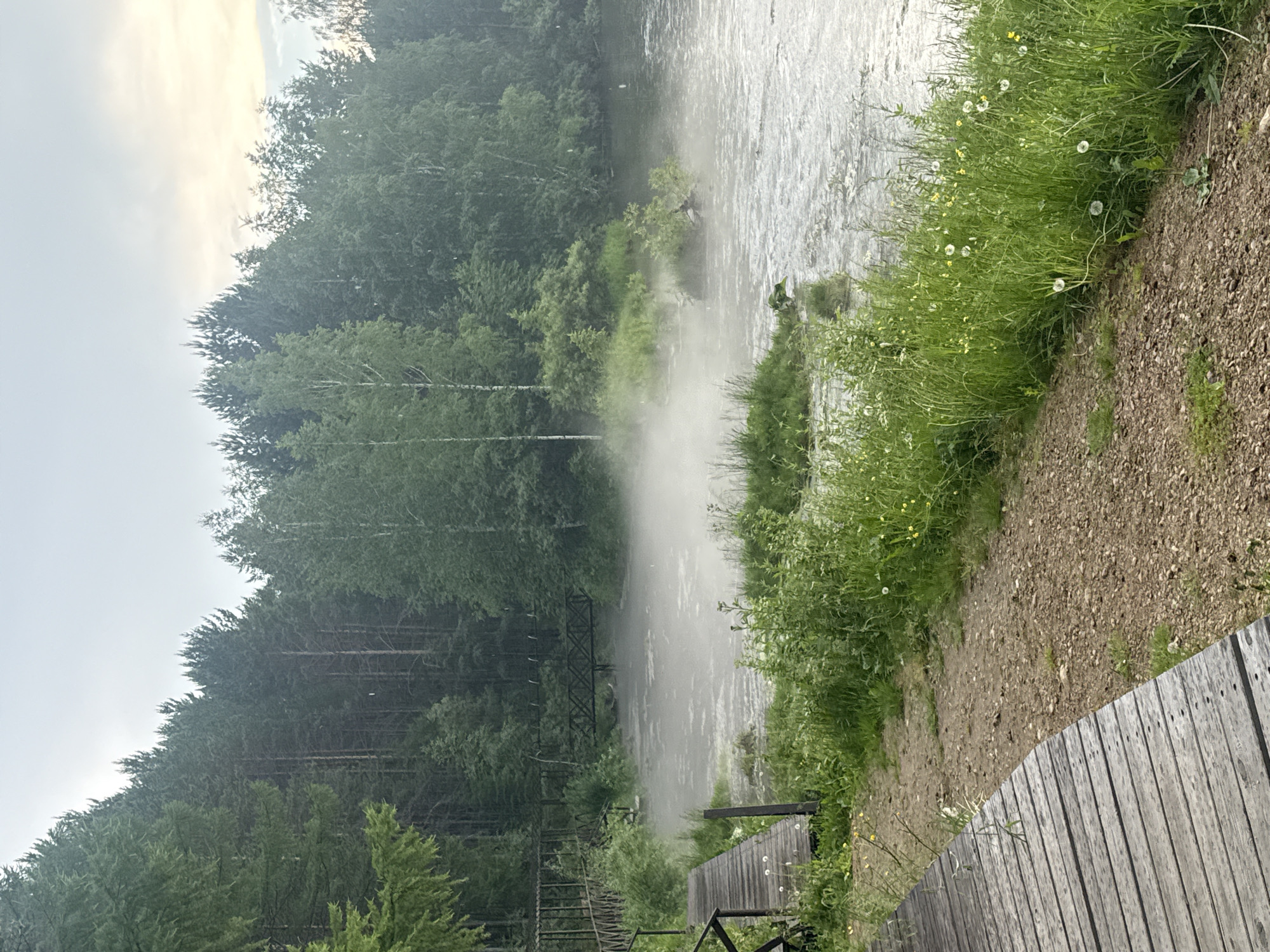 This image depicts a serene natural scene in Savvateevka, Russia. The foreground is dominated by a wooden boardwalk and a gravel path that curves alongside a grassy area dotted with dandelions and small yellow flowers. Beyond the grass, a wide river flows, partially obscured by a light mist rising from its surface, creating an ethereal effect. The river is bordered by a dense forest of lush green trees.
The time of day appears to be overcast, likely morning or late afternoon, given the soft, diffused light and the absence of strong shadows. The weather seems mild and possibly humid, conducive to the mist on the water and the abundant greenery.
On the left side of the river, a dark, somewhat industrial-looking structure, possibly a bridge or part of a viewing platform, is visible amidst the trees. The overall atmosphere is peaceful and tranquil, inviting a sense of calm contemplation of nature. There is no visible text in the image.