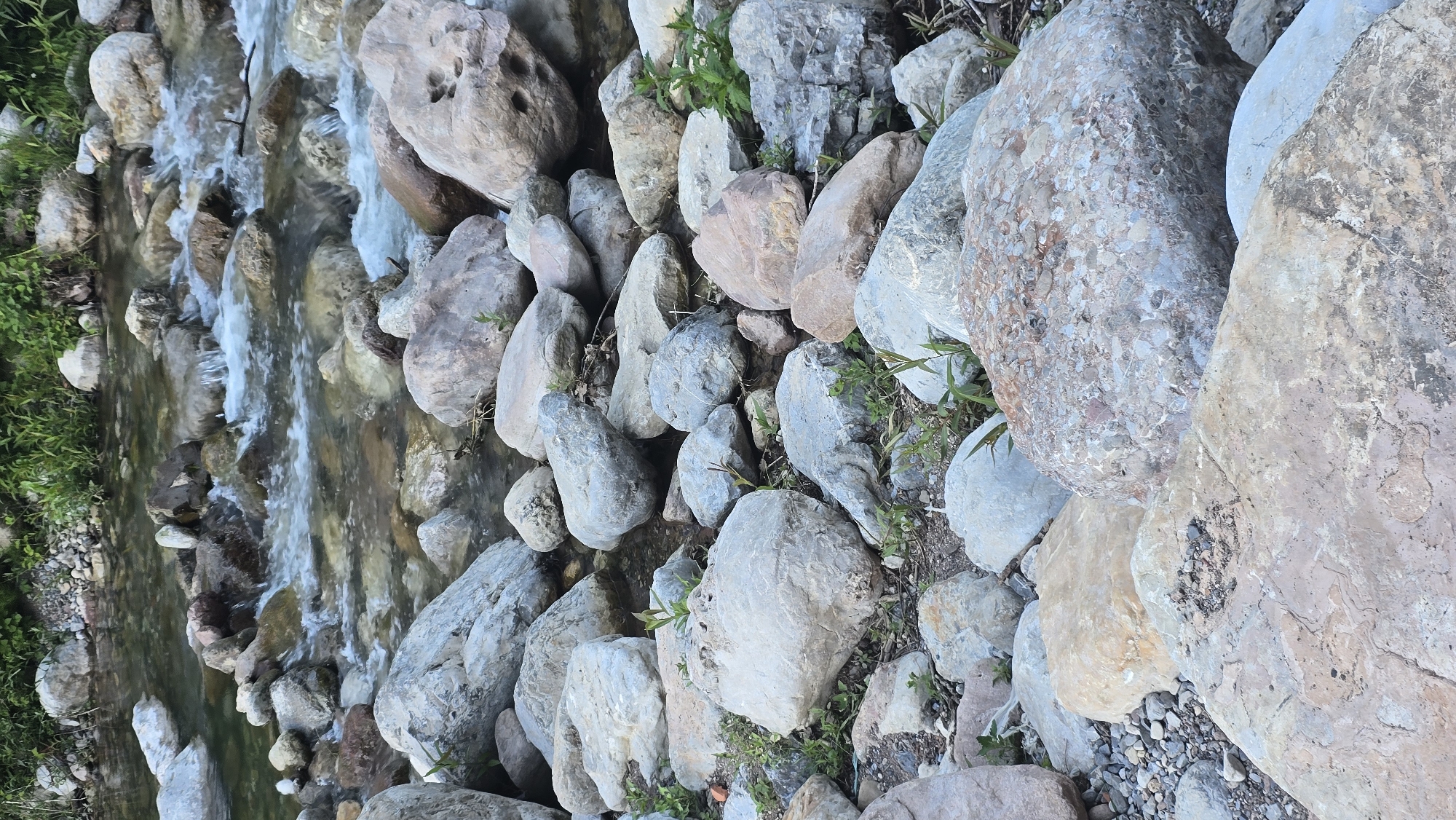 The image displays a rocky riverbed with clear, flowing water. The river is shallow, with many stones of various sizes visible both in and out of the water. The banks of the river are lined with rocks and vegetation, including green grass and some small plants. The overall scene suggests a natural outdoor environment, likely a mountain stream or a small river. The lighting indicates it is daytime. The image does not depict any people or specific man-made structures. The location is described as Zgorigrad, Bulgaria.