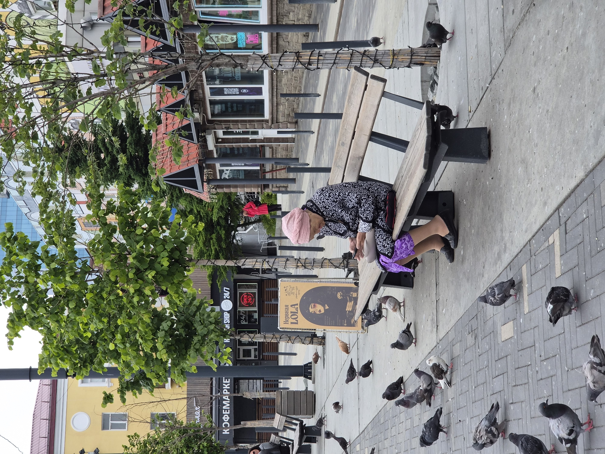 The image captures a scene in Vladivostok, Russia, likely on a pedestrian street or plaza. In the foreground, an elderly woman wearing a pink headscarf and a patterned jacket is seated on a wooden bench. She is looking down at her mobile phone, which she is holding in her left hand. A light-colored bowl rests on her lap. Around the bench and scattered on the cobblestone pavement are numerous pigeons. The woman is wearing a purple skirt and black shoes.
Behind the woman and bench, a street-side establishment with a red-tiled roof and dark trim is visible. Several shops are integrated into this structure, with large windows displaying merchandise, including what appears to be vape products and clothing. A sign with Cyrillic lettering, "НЕРВНАЯ LOLA," is prominently displayed on an easel near the bench.
Further in the background, trees with green foliage line the area, and modern buildings with colorful facades are present. A street lamp and bollards are also visible. The overall atmosphere suggests an urban setting on a cloudy day.