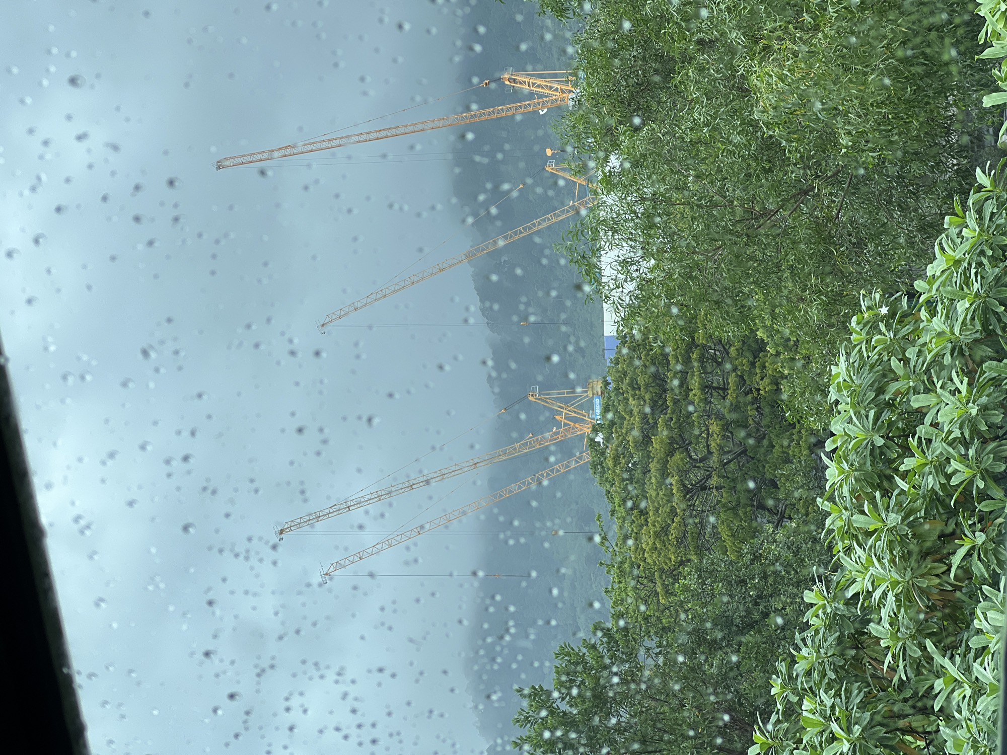 The image, rotated 90 degrees clockwise, presents an outdoor scene viewed through a surface heavily covered with various-sized water droplets, suggesting a rain-splattered window or windshield. The foreground is dominated by these clear, blurred water droplets.
In the mid-ground, at least four large, yellow lattice tower cranes are prominently visible. Their long jibs extend across the frame, indicating an active construction site. One crane features faint blue lettering on its structure, which appears to read "ARCAD" or part of "ARCADIS".
To the right, a dense expanse of lush green foliage and trees occupies a significant portion of the view. The leaves appear wet, consistent with recent rainfall. The trees show varying shades of green and leaf shapes, suggesting different species.
The background consists of hazy, dark hills or mountains, shrouded in mist or low clouds, which contributes to an overcast and diffused lighting condition. The sky is a uniform light grey, devoid of clear blue or direct sunlight.
The scene depicts an industrial or construction area set against a natural, mountainous landscape, observed during a rainy or misty daytime. The overall impression is one of subdued light and a wet environment.