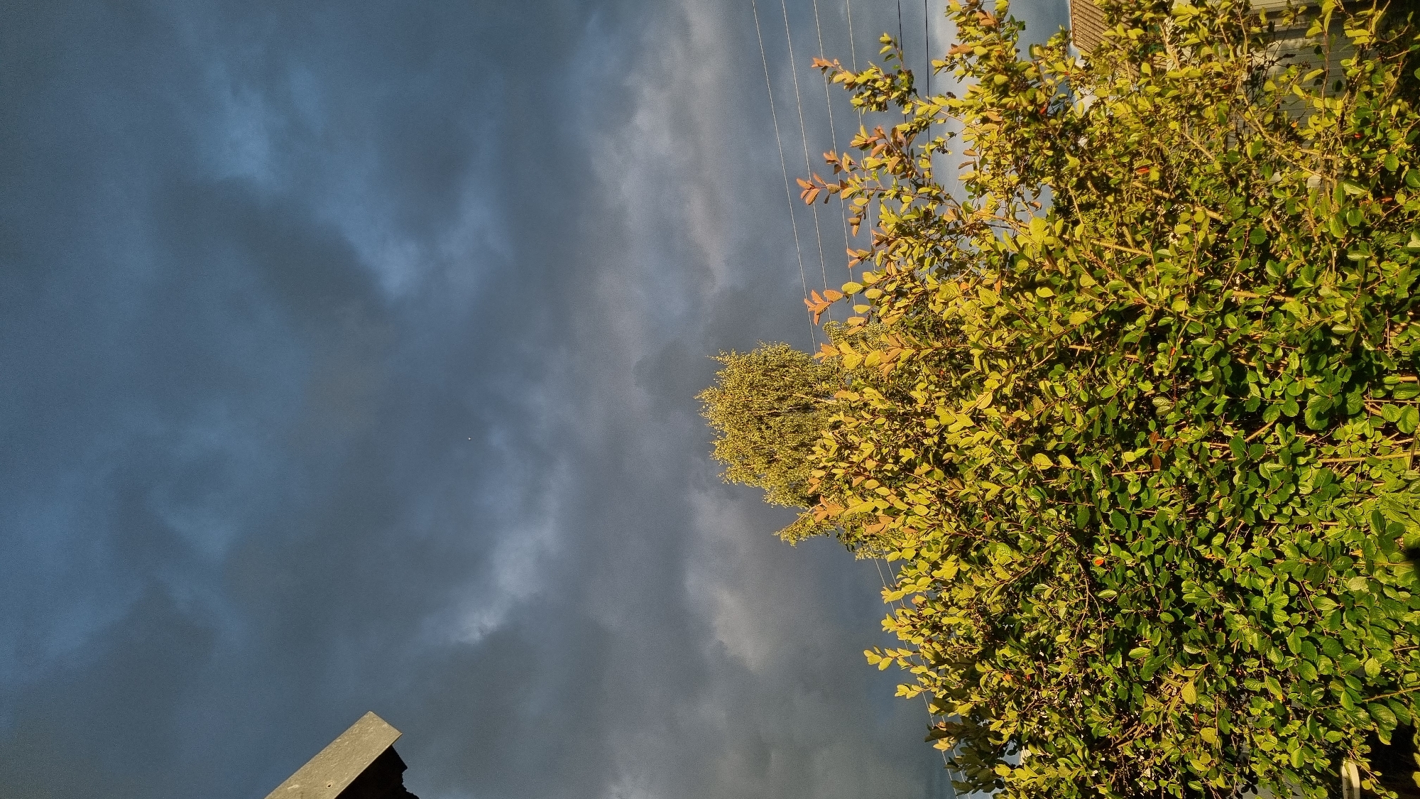 The image captures an outdoor scene dominated by a dark, cloudy sky with hints of sunlight breaking through. In the foreground, a lush green bush with some leaves showing yellow and red hues is prominently displayed. Behind the bush, a taller tree with bright green foliage stands out, and several power lines are visible stretching horizontally across the frame. To the left, a portion of a wooden structure, possibly part of a roof or eave, is visible. To the right, a white building with a tiled roof is partially obscured by the foliage. The overall impression is that of a natural setting on the outskirts of a city, likely experiencing a change in weather. The specific location in Vysokoe, Russia, is not visually discernible from the image itself but is provided as context.