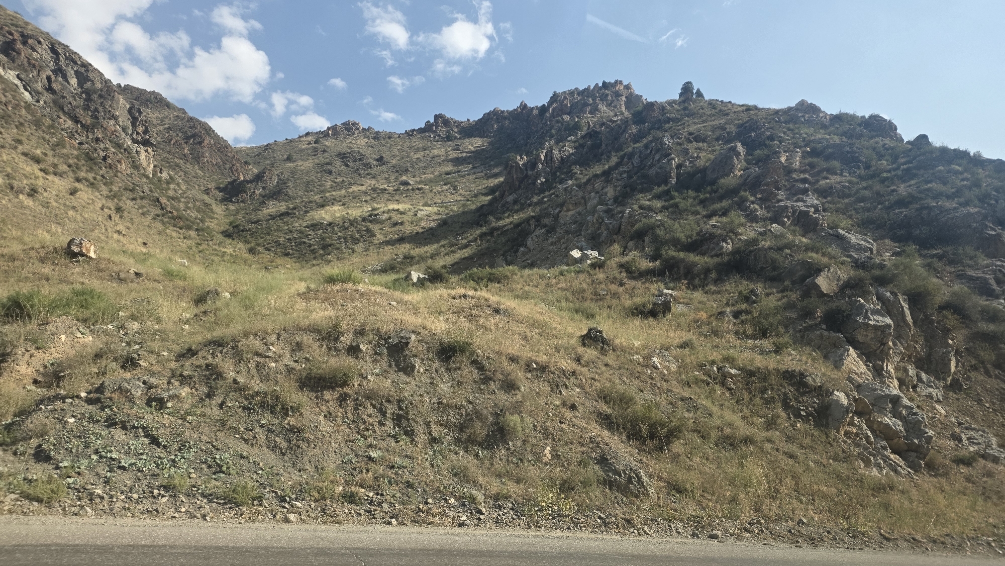The image shows a mountain landscape with dry grass and rocks under a blue sky with white clouds. The terrain is steep and rugged, characteristic of a mountainous region. The foreground features a paved road, suggesting the location is near a transportation route. The vegetation is sparse, consisting mainly of dry grasses and some low-lying shrubs, indicating an arid or semi-arid climate. The rocky outcrops and cliffs dominate the upper parts of the image. The overall scene depicts a natural, untamed environment. While the specific location within Taldyk, Kyrgyzstan cannot be definitively determined from the image alone, the landscape is consistent with mountainous regions found in Central Asia.