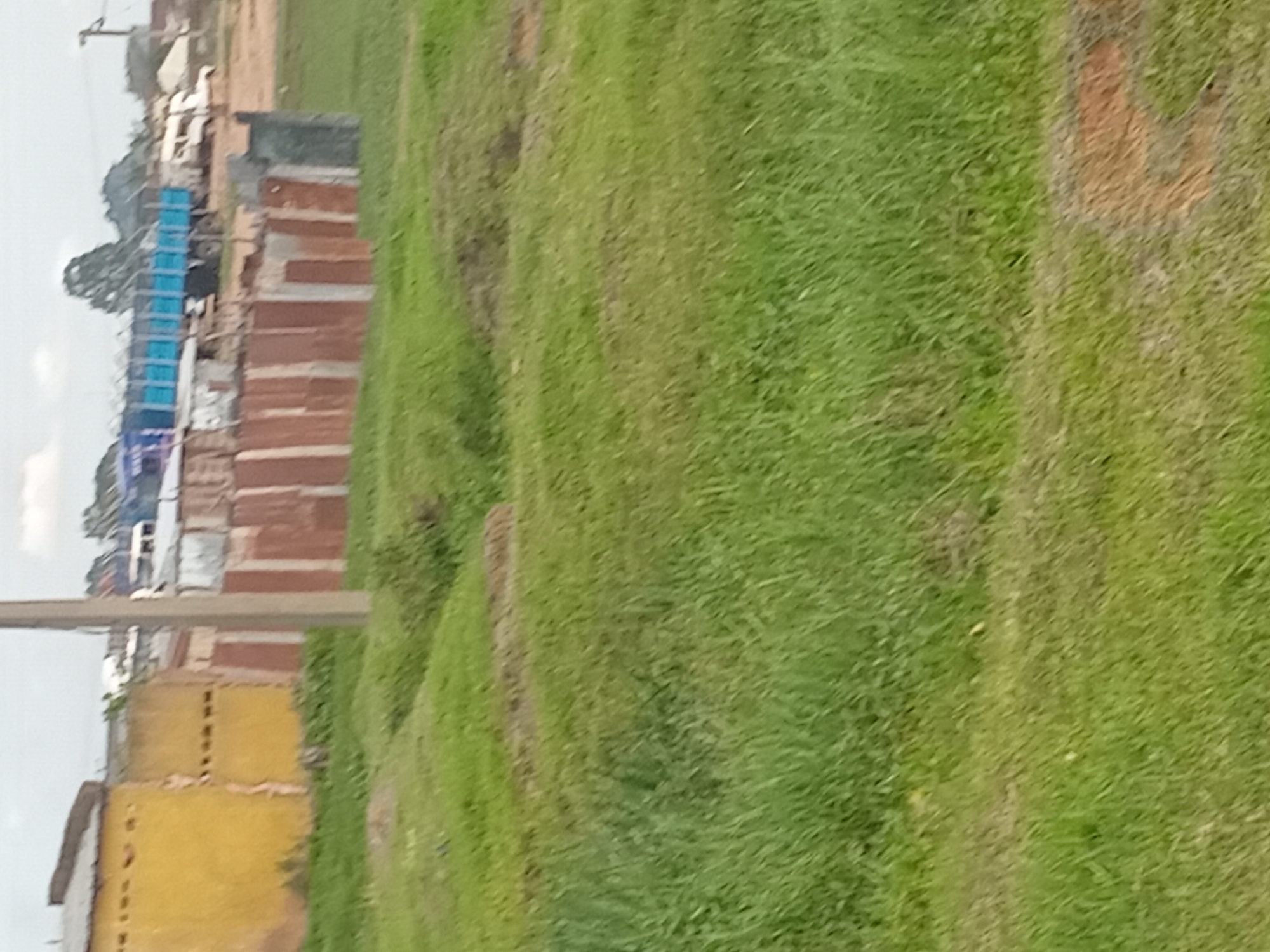The image shows an outdoor scene in Bukuru, Nigeria. In the foreground, there is a grassy area with some patches of dry earth. In the background, there are several structures and vehicles. On the left, there is a yellow building with a slightly sloped roof. Next to it is a fence made of corrugated metal sheets, some of which appear rusted. Beyond the fence, there are several trucks, including one with a blue cargo bed and what appears to be a white truck. There are also some other buildings and structures visible in the distance. The sky is overcast.