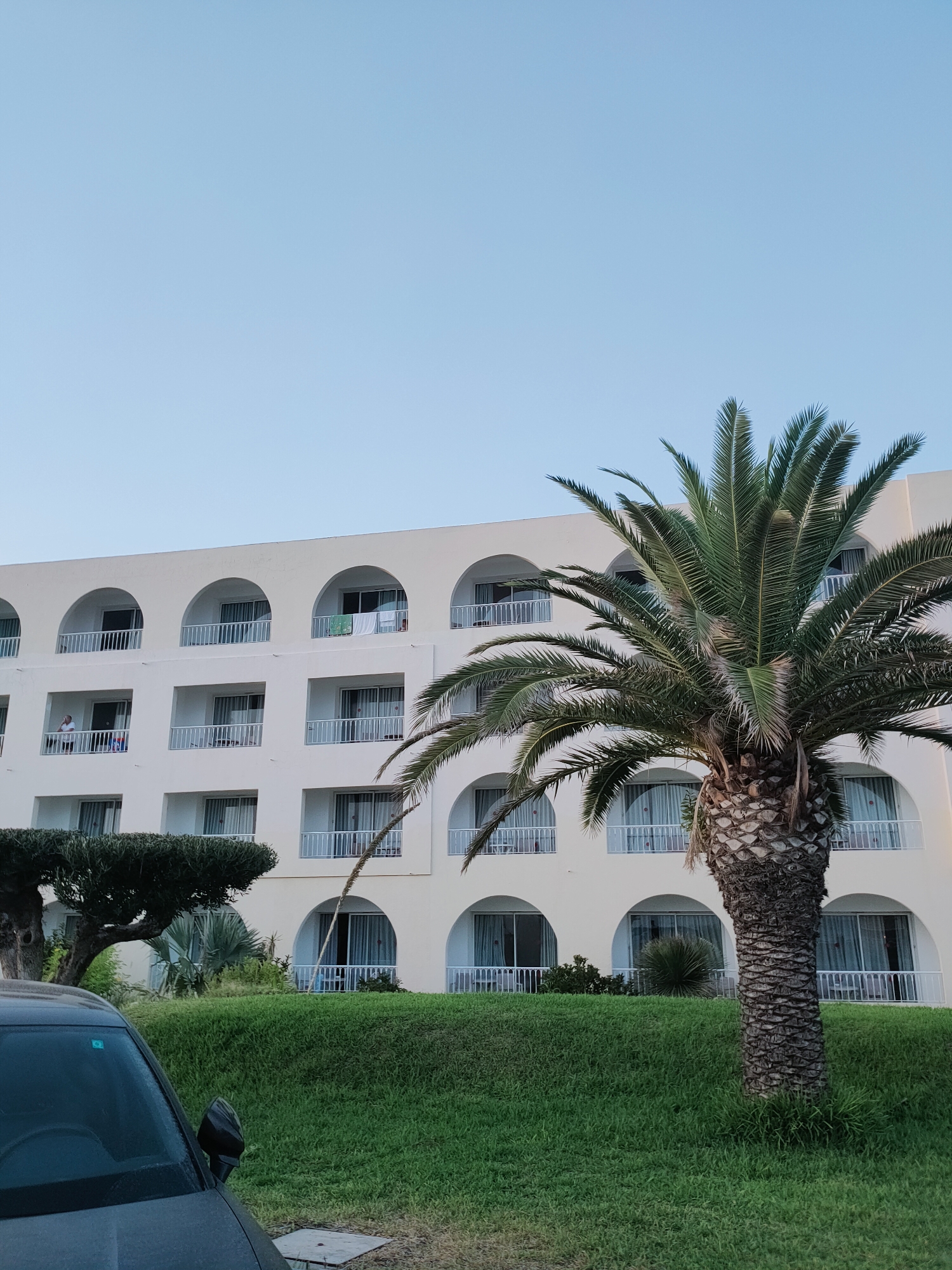A multi-story hotel with arched windows and balconies, a palm tree, and green grass is shown. The hotel is painted white and has several floors with identical windows and balconies. A person is visible on one of the balconies, leaning on the railing. A palm tree with a thick, textured trunk stands in front of the hotel. The ground is covered in lush green grass. A portion of a dark-colored car is visible in the lower left corner of the image. The sky is a clear, pale blue. The scene appears to be in Nabeul, Tunisia.