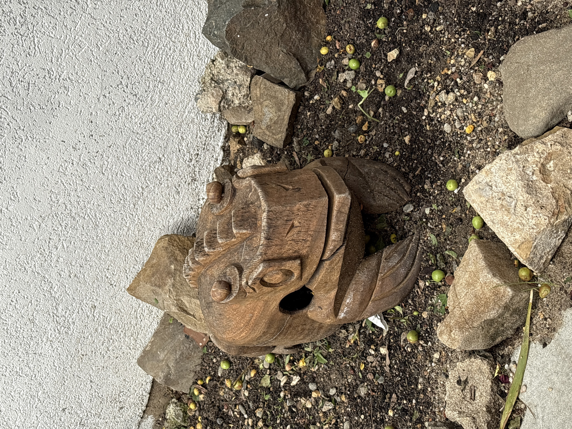 A ground-level, outdoor shot depicts a roughly hewn, wooden head sculpture lying amidst soil, rocks, and small, round, green or yellow berries. The sculpture is placed alongside a textured, light-colored wall. The surrounding ground shows evidence of small pebbles and plant debris mixed in the soil. Based on this, the location could be a garden or outdoor area near a building. There is no evidence in the photograph to suggest a location in Kragujevac, Serbia, however, one could plausibly infer from the type of building, ground coverage, and sculpture that it could exist in many countries, including Serbia.