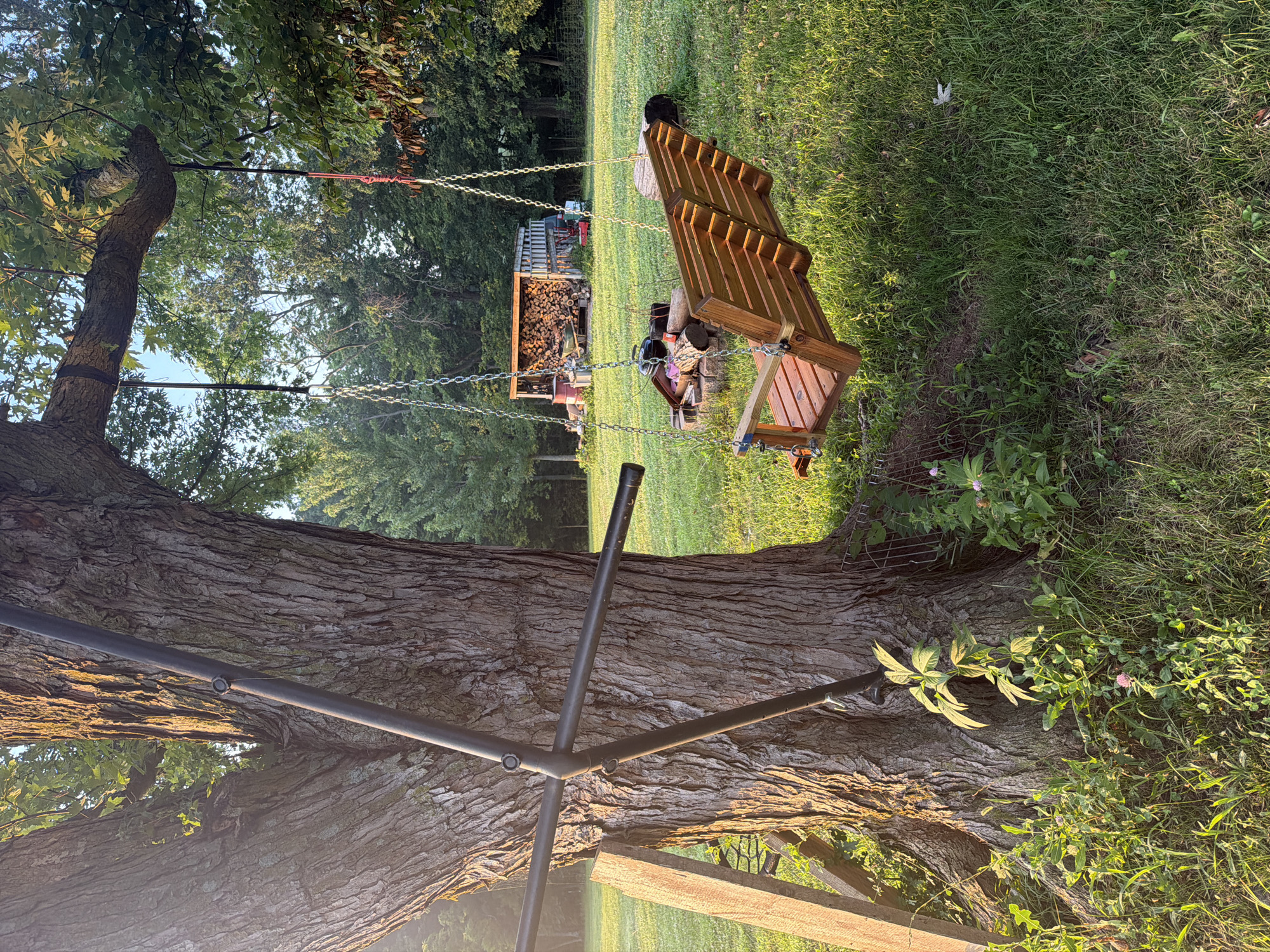 A sunlit, daytime, outdoor scene in Holt, United States, features a wooden swing hanging from a large tree. The swing, made of light-colored wood slats, is suspended by chains. A metal support structure is attached to the tree trunk. The ground is covered in green grass, with some wildflowers and a small plant growing near the base of the tree. In the background, a wooden shed filled with firewood is visible, along with some other scattered objects. The sky is a clear blue, and the sunlight casts long shadows. The image appears to be a static shot, with no people or animals present.