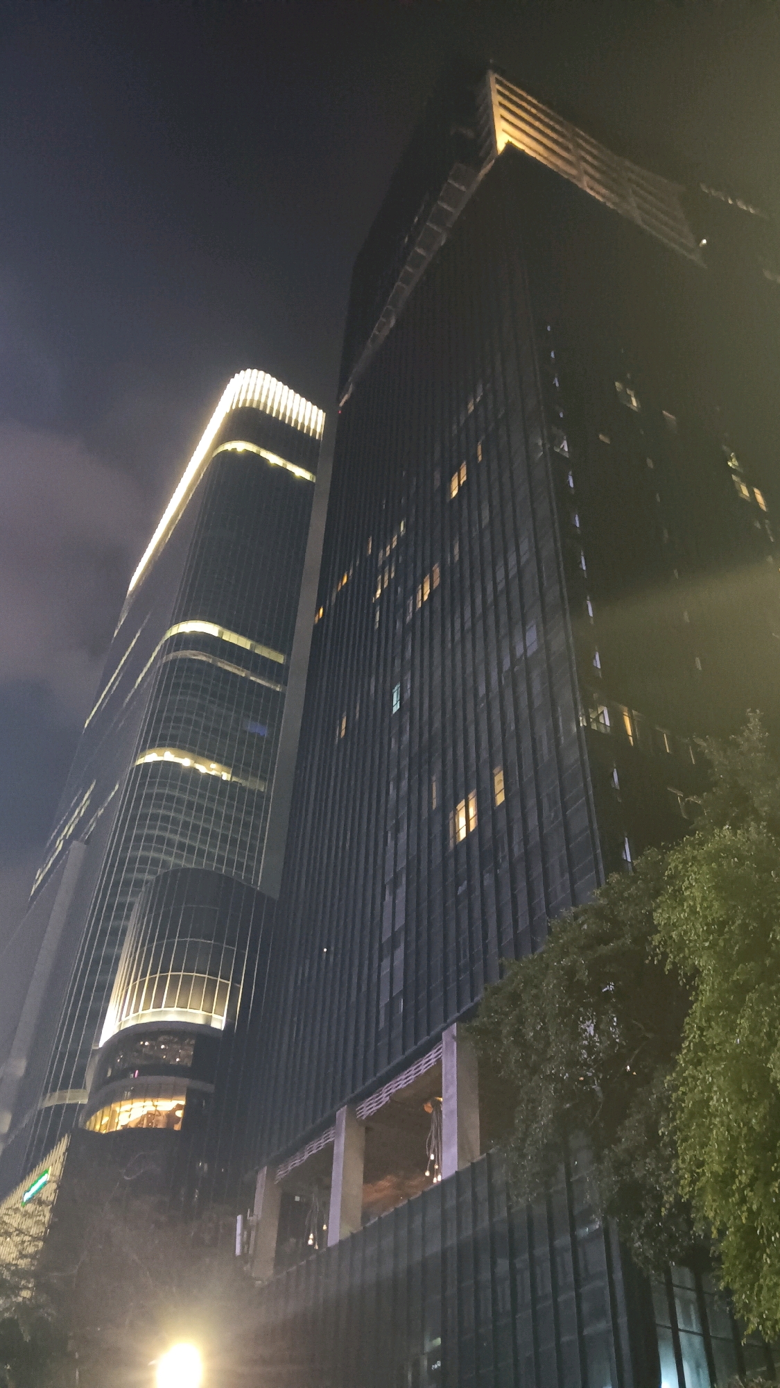In the city of South Jakarta, Indonesia, two tall, modern skyscrapers dominate the nighttime scene. The skyscraper on the left is illuminated with bright, horizontal bands of light that trace its curved facade. Its windows reflect the surrounding lights, and its lower floors appear to house a business with glowing interior spaces visible through large windows. The skyscraper on the right is clad in dark, vertical panels and features numerous small, illuminated windows scattered across its height, suggesting occupied floors. The top of this building is topped with a brightly lit, cantilevered structure. A large, leafy green tree partially obscures the lower right portion of the right skyscraper, and a streetlamp in the foreground casts a bright, diffused glow upwards. The sky above is dark and slightly hazy, indicating a cloudy night.
