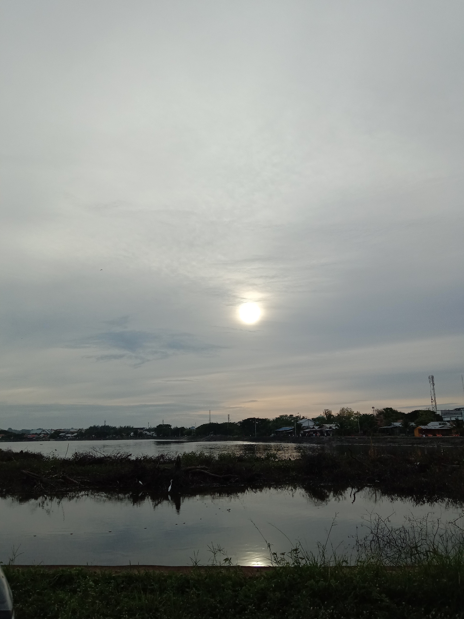 The image depicts a waterscape in Lhokseumawe, Indonesia, under an overcast sky with a visible sun. The foreground features water covered with dark vegetation, with grasses and plants along the shore. In the midground, a body of water reflects the sky and some vegetation. Buildings and trees are visible in the background, and telecommunication towers can also be seen in the distance. Two white birds are standing in the midground, near the vegetation.