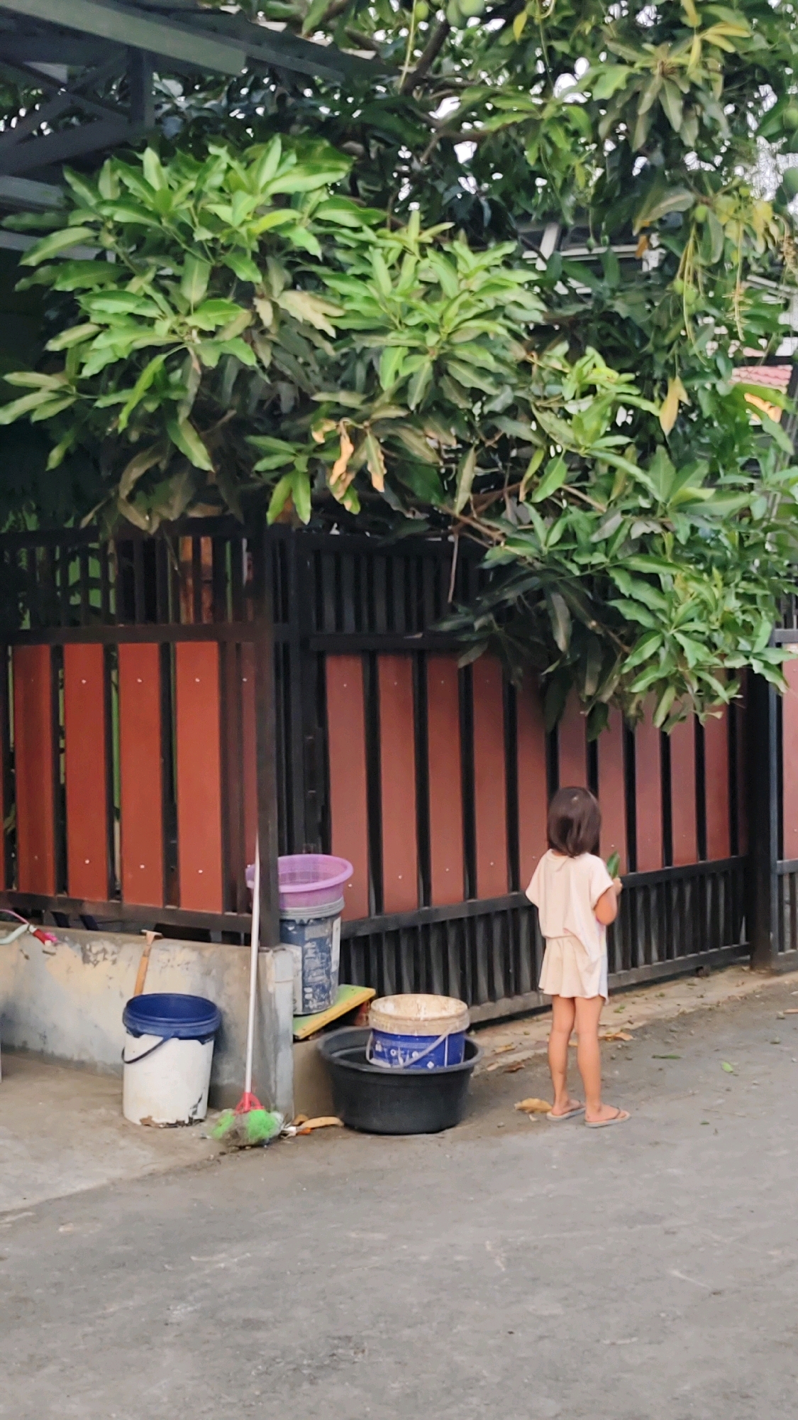 In the city of Banjarmasin, Indonesia, a young girl stands on a paved surface, facing a dark brown and black fence. She is wearing a light-colored, short-sleeved top and a matching skirt. Her dark hair is short, and she is holding a green object in her right hand. Behind the fence, a tree with lush green leaves provides shade. To the left of the girl, near the fence, are several objects: a purple plastic bucket on top of a blue and white bucket, a mop with a green brush head lying on the ground, a white bucket with a blue rim, and a large black basin containing a blue and white bucket. The ground appears to be a mixture of concrete and asphalt, with some scattered leaves and debris. The scene suggests a residential area in Banjarmasin.