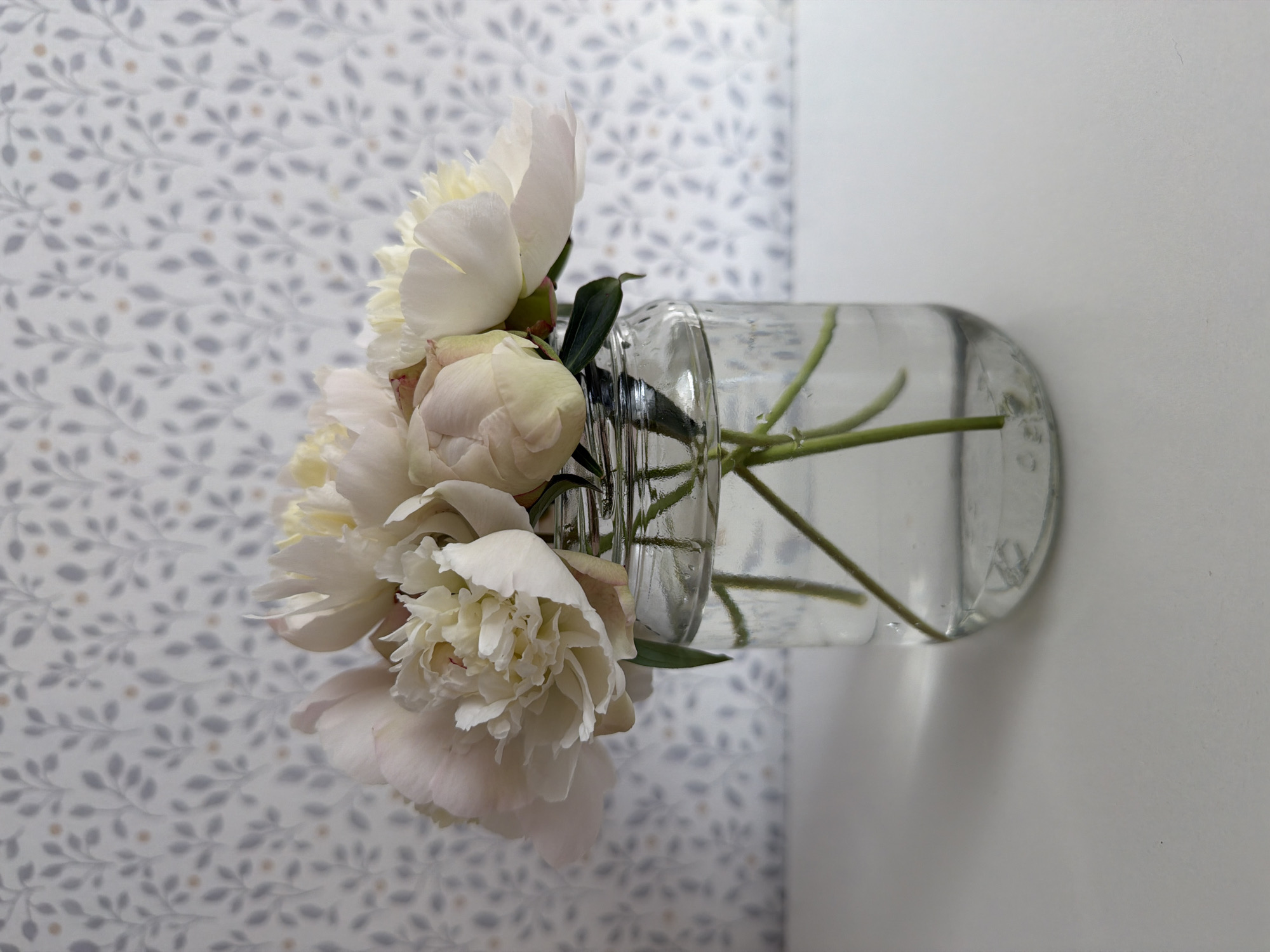 A still life photograph depicts a glass jar filled with clear water and several pale pink and white peonies. The jar sits on a white surface against a backdrop of light-colored wallpaper featuring a subtle floral pattern of grey leaves and small orange dots. The lighting appears soft, casting a gentle shadow of the jar and flowers to the left. There are no people or animals present, and no discernable context of a specific location in the city of Фролы, Russia. The scene is static and focused on the arrangement of the flowers in the jar.