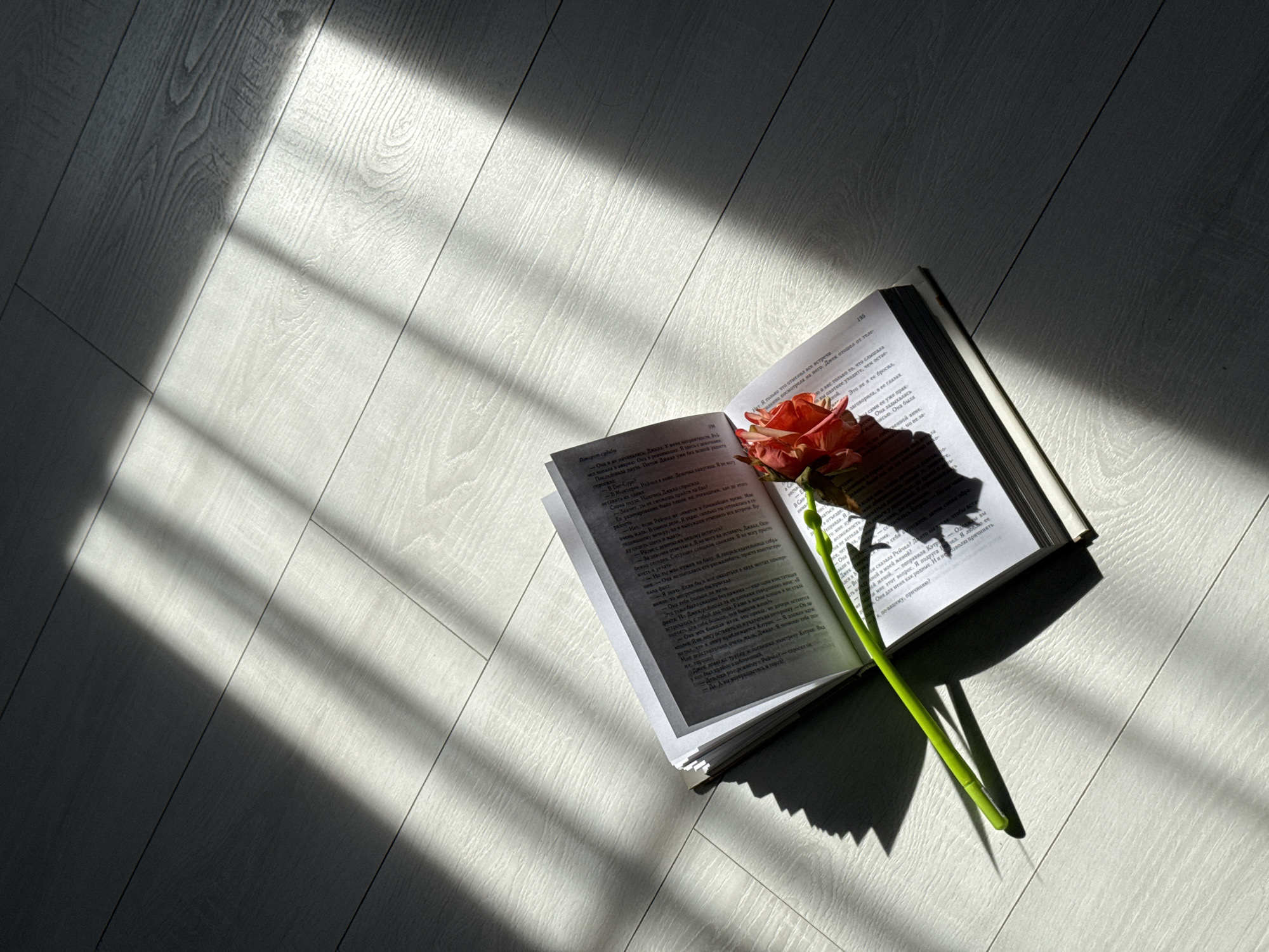 An open book with a single reddish-orange rose resting between its pages lies on a light-colored wooden floor. Strong natural sunlight streams in from an unseen window, casting distinct, geometric shadows across the floor and the objects. These shadows suggest the light source is direct, possibly from blinds or window frames, indicating either morning or late afternoon. The floor features visible wood grain patterns. The rose has a prominent green stem and soft petals. The overall scene conveys a peaceful, quiet, and possibly romantic or contemplative mood.
The visible text in the open book is in Russian, with page numbers "194" and "195" clearly displayed. The text describes a narrative involving characters named Jill (Джилл), Rachel (Рейчел), Jack (Джек), and Kathryn (Кэтрин). Specific phrases mention an accident ("попала в аварию"), intensive care ("в реанимации"), and a coma ("в коме") concerning Rachel. Other words like "неприятности" (trouble), "разочарование" (disappointment), and "Поворот судьбы" (Turn of fate) are also visible, suggesting a dramatic or emotional plotline.
