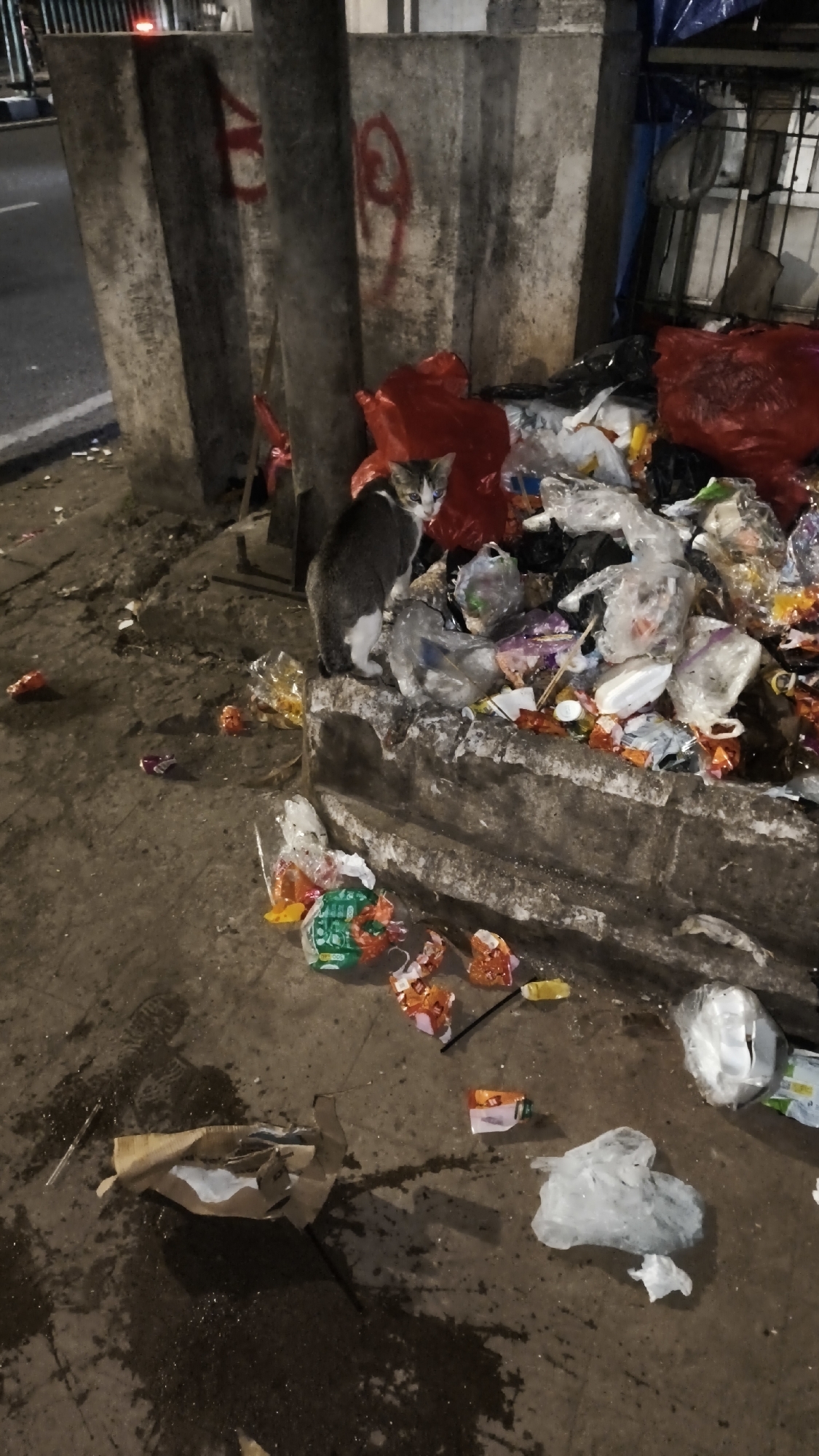 The image depicts a street scene in South Jakarta, Indonesia, characterized by a large pile of garbage overflowing from a concrete structure. The garbage consists of various plastic bags, wrappers, and other debris, some of which are red plastic bags, indicating recent disposal. A cat with grey and white fur is perched on the edge of the garbage pile, looking towards the left of the frame. The ground is littered with more trash, including plastic bottles, crumpled paper, and plastic bags. The overall environment appears to be a neglected urban area, possibly an alleyway or a side street, with a concrete wall and a pole visible in the background. The lighting suggests it is either dusk or nighttime.