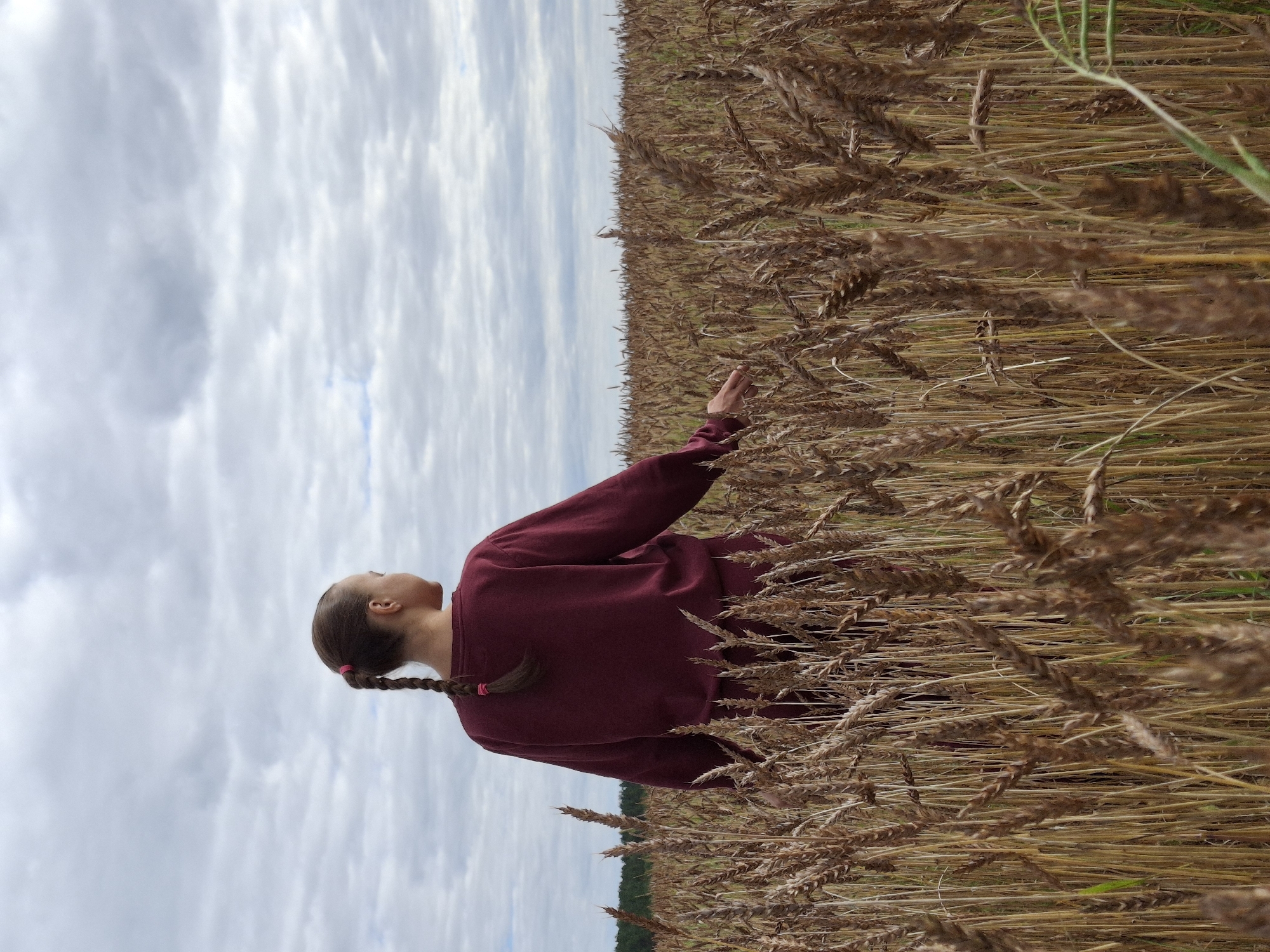 A young girl with brown hair in a braid, wearing a maroon sweatshirt, stands in a wheat field, facing away from the camera. Her right hand is extended, touching the wheat stalks. The field is densely populated with dry, golden wheat under a cloudy sky. In the distance, a line of trees is visible. The scene is set in Plishkino, Russia.